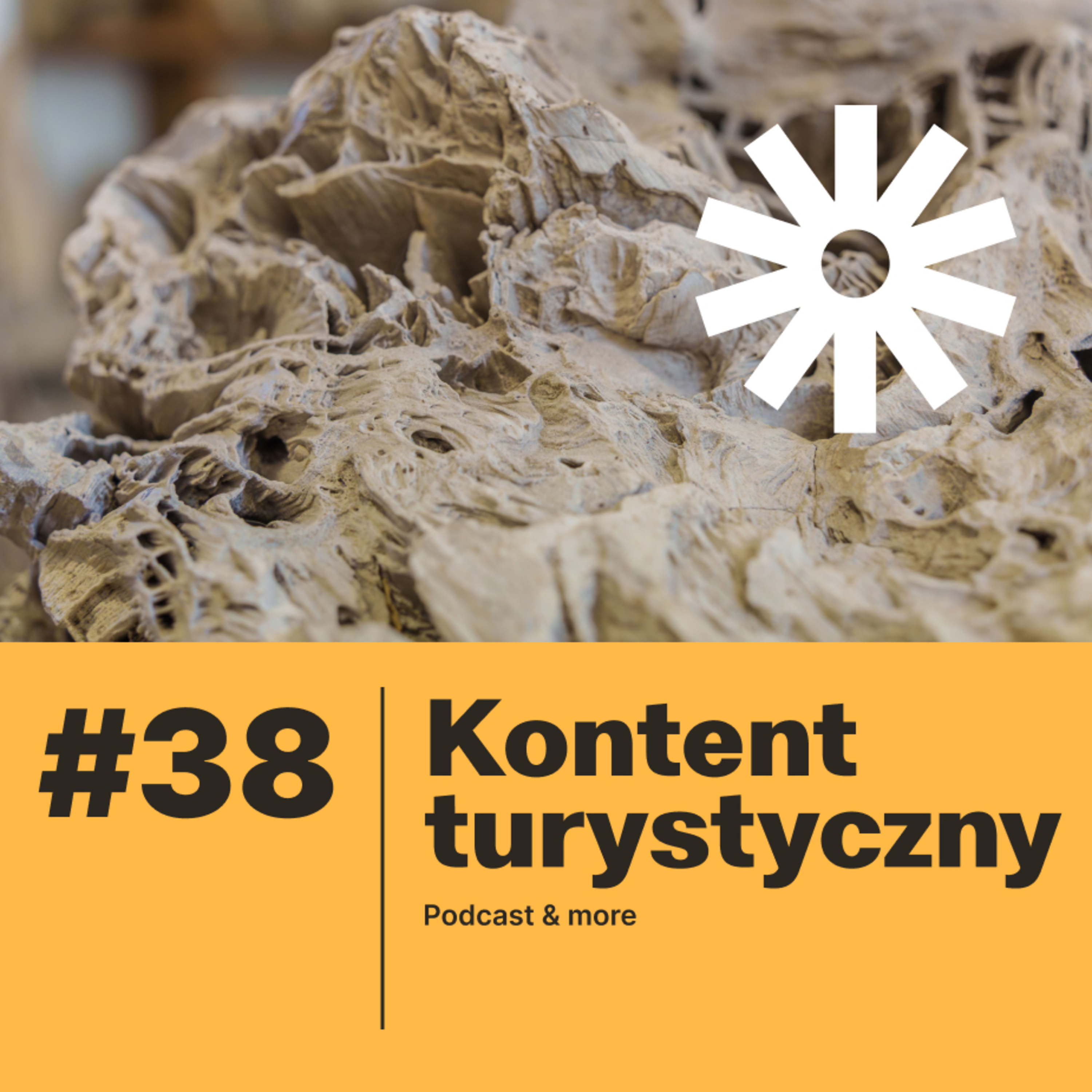 #38 - To prawdziwy ewenement! Muzeum Skamieniałych Drzew w Siedliskach episode artwork