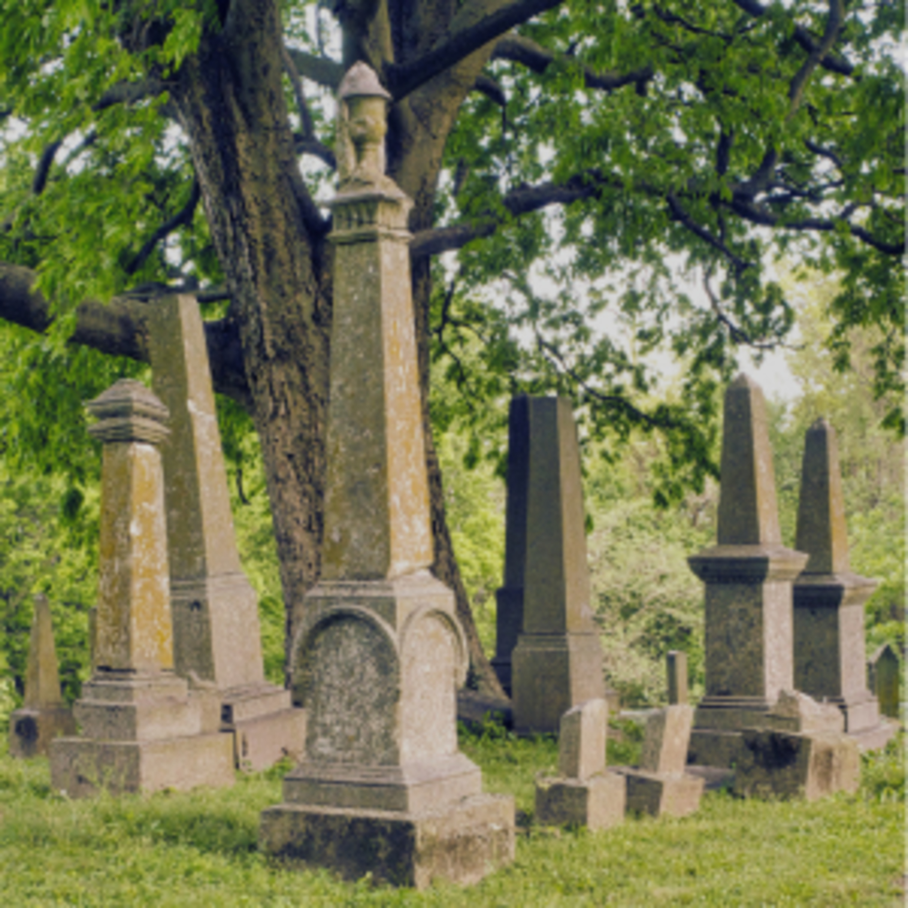 The Gospel Saves Podcast