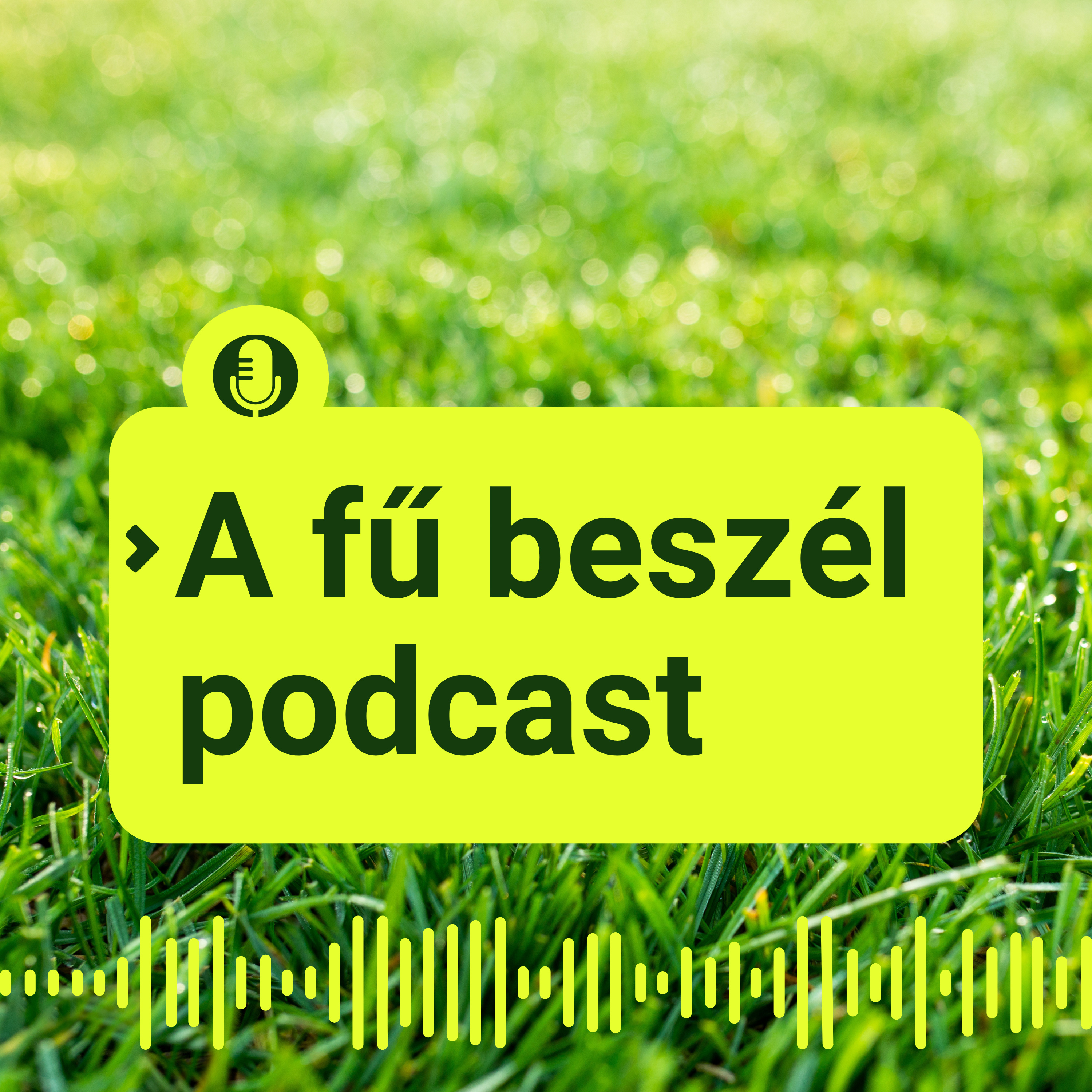 Intro | A fű beszél podcast