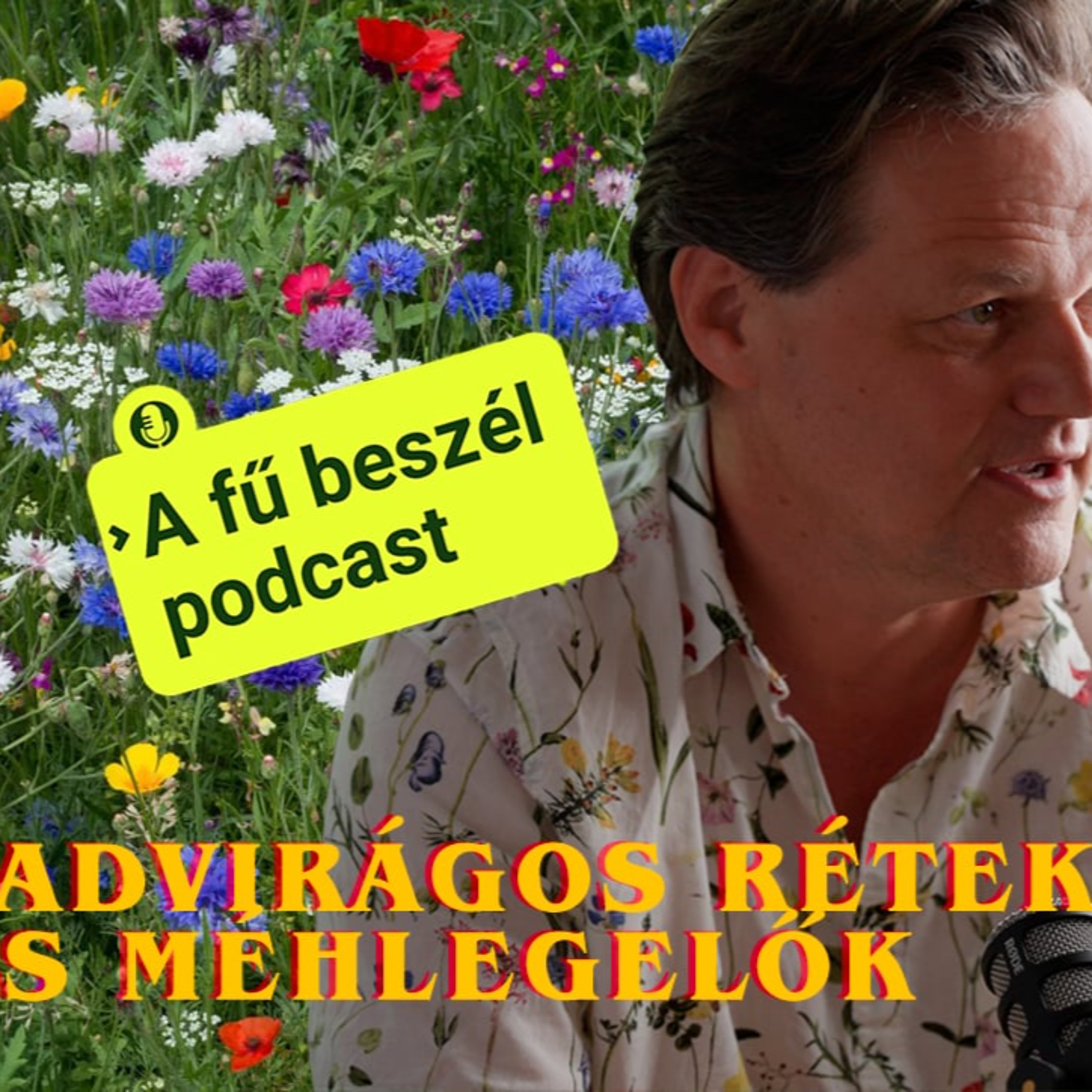 Vadvirágos rétek és méhlegelők – így segíthetsz a természetnek a kertedből is! 🐝🌼 A fű beszél podcast