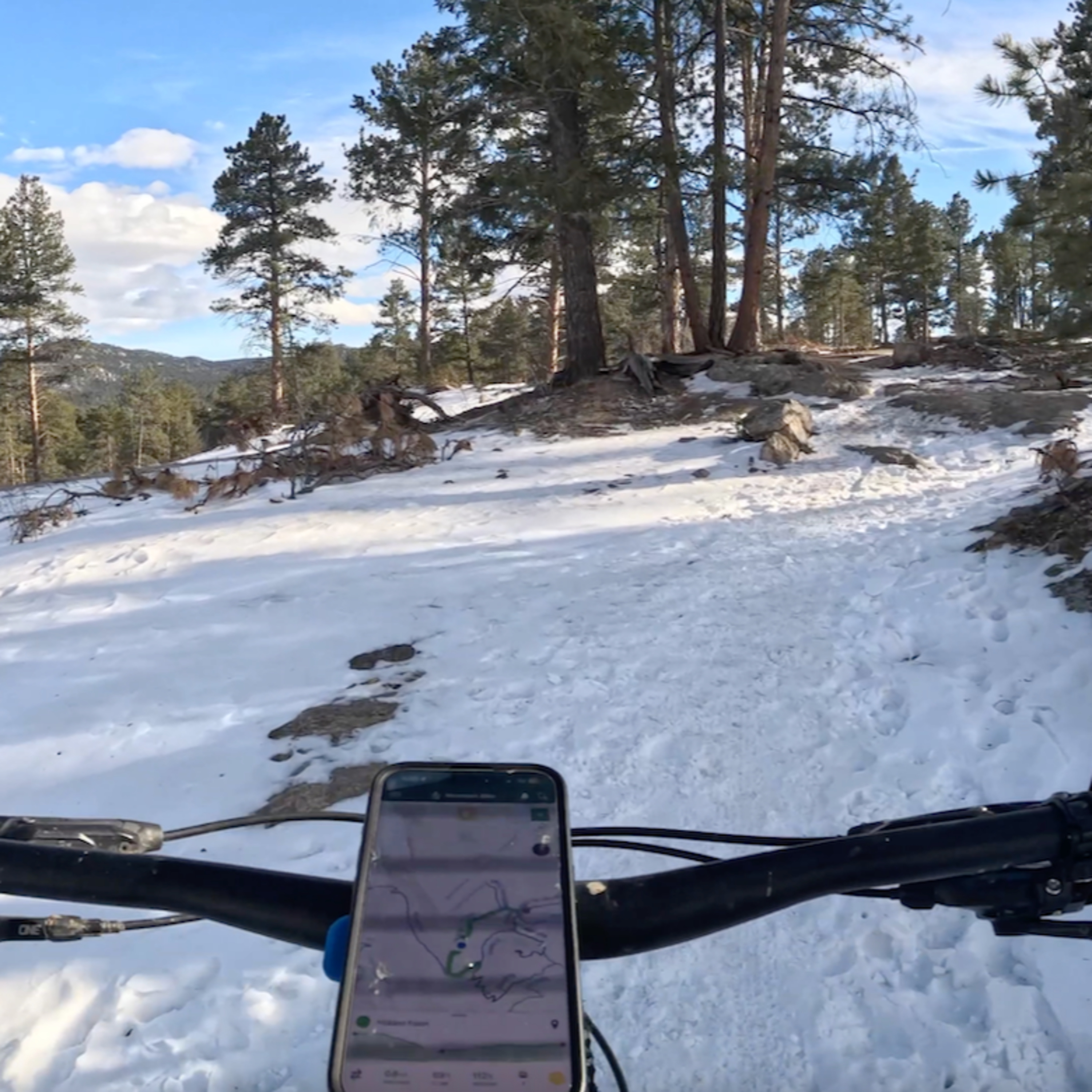 Hidden Fawn - Alderfer Three Sisters Park - Evergreen - Colorado episode artwork