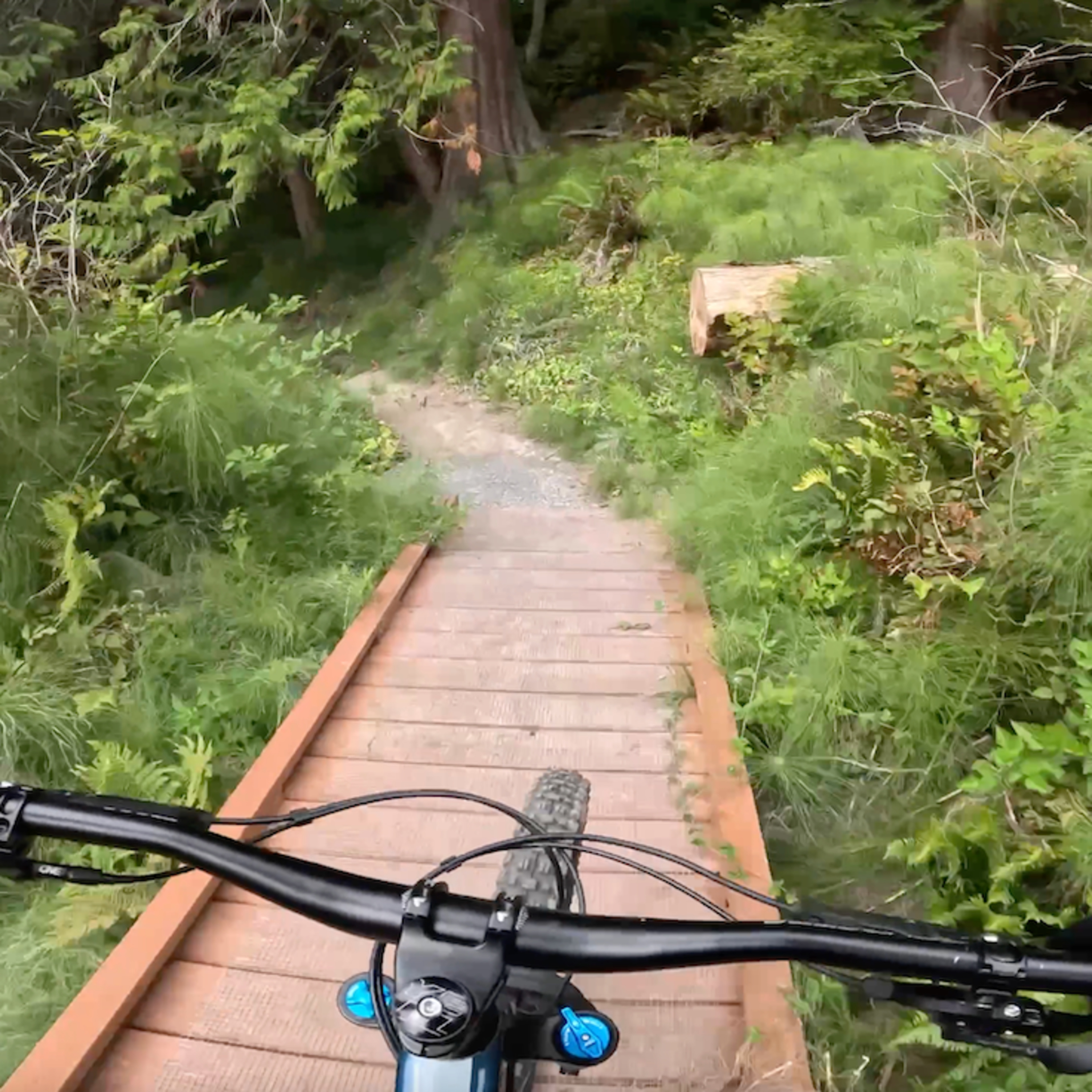 To the beach! - Japanese Gulch - Mukilteo - Washington episode artwork
