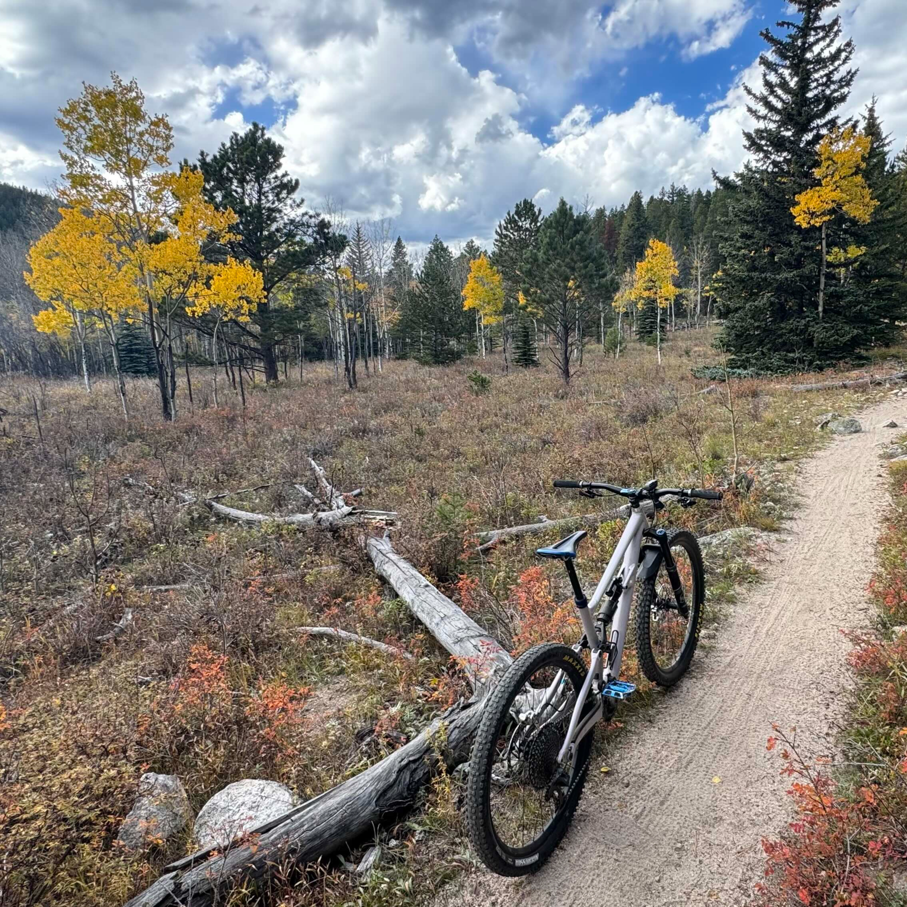 Trail Chatter: Golden Gate Canyon State Park (Mule Deer) - Colorado episode artwork
