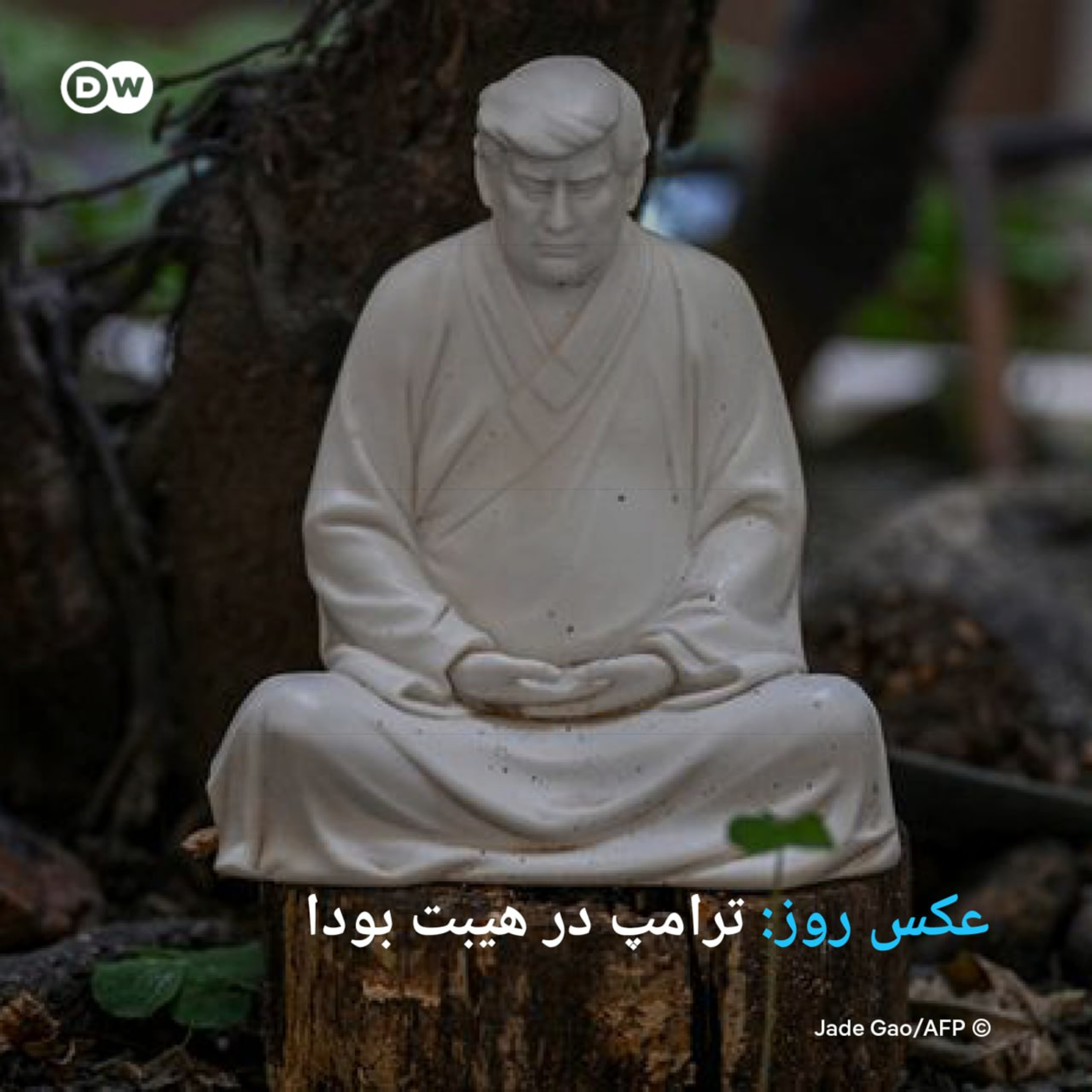 کاور ترامپ در هیبت بودا