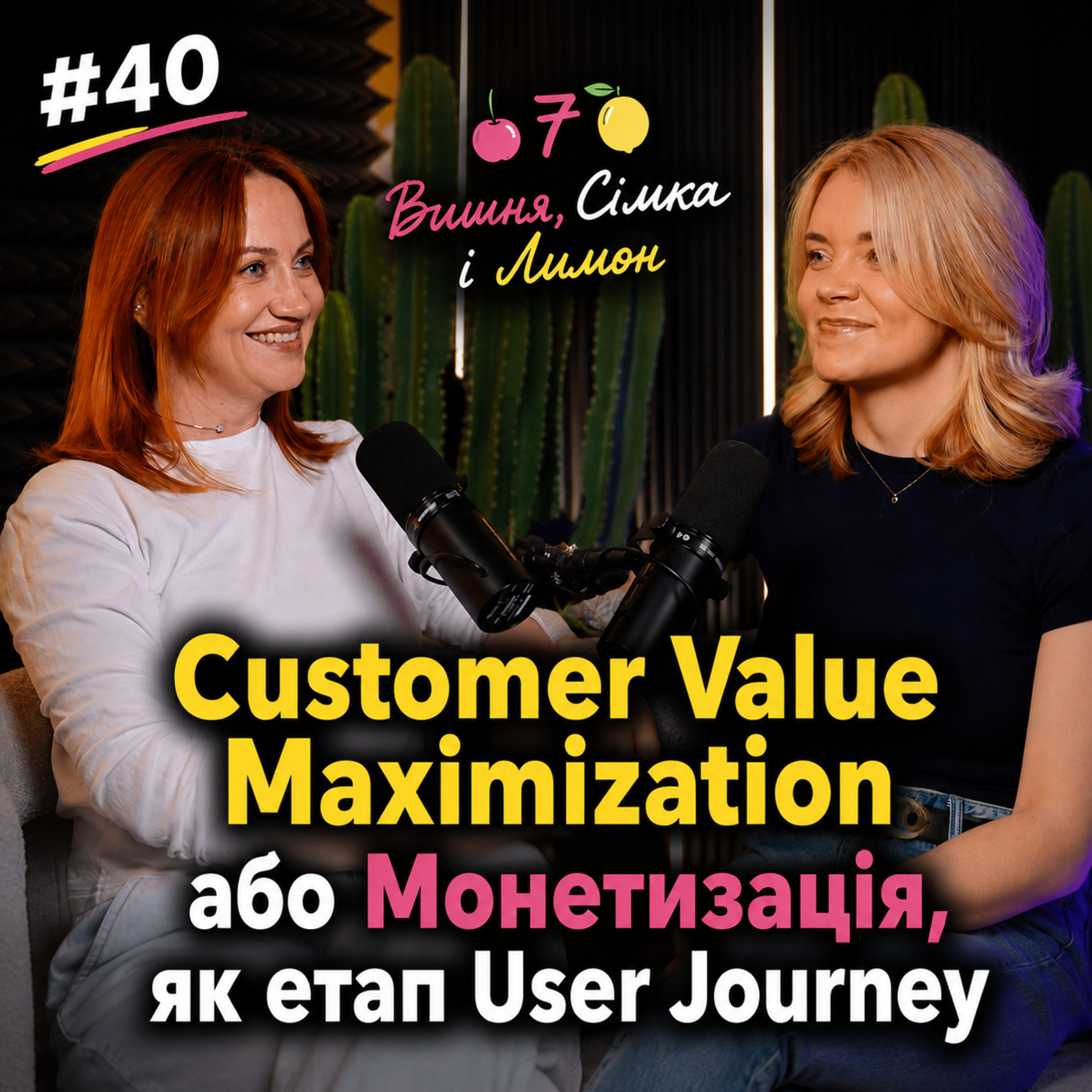Як заробляти більше на існуючих гравцях? Customer Value Maximization в iGaming | Ірина Сташевська episode artwork