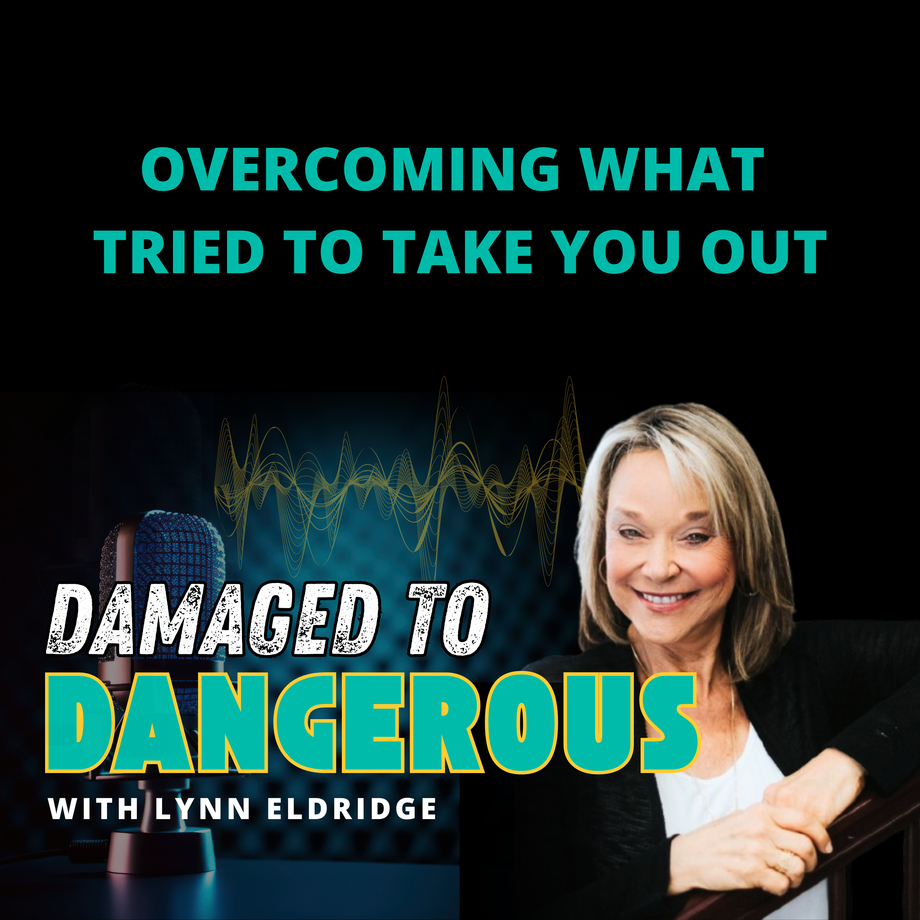 Damaged To Dangerous: What No One Is Telling You About Your Health, Your Spirituality, Your Sanity