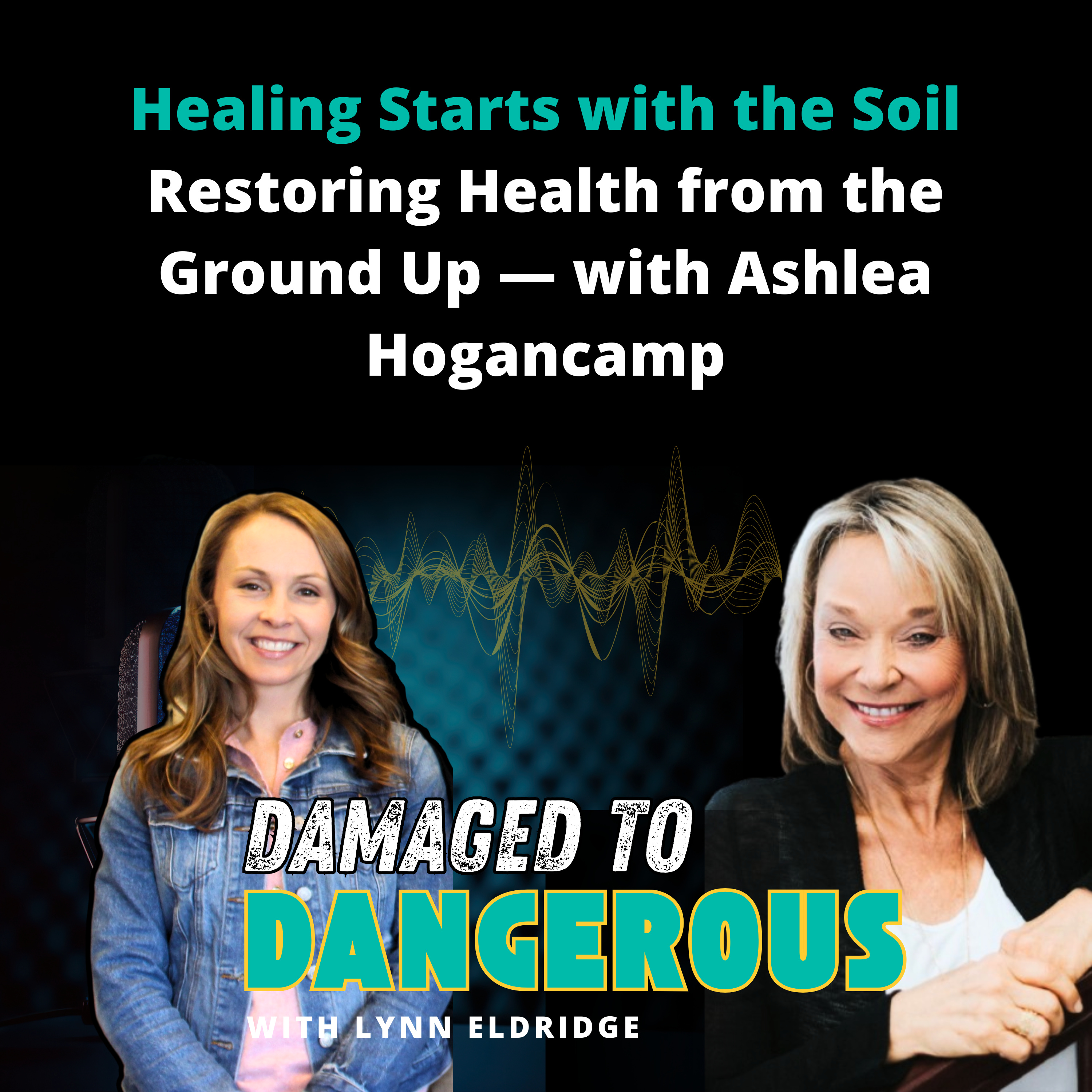 Damaged To Dangerous: What No One Is Telling You About Your Health, Your Spirituality, Your Sanity