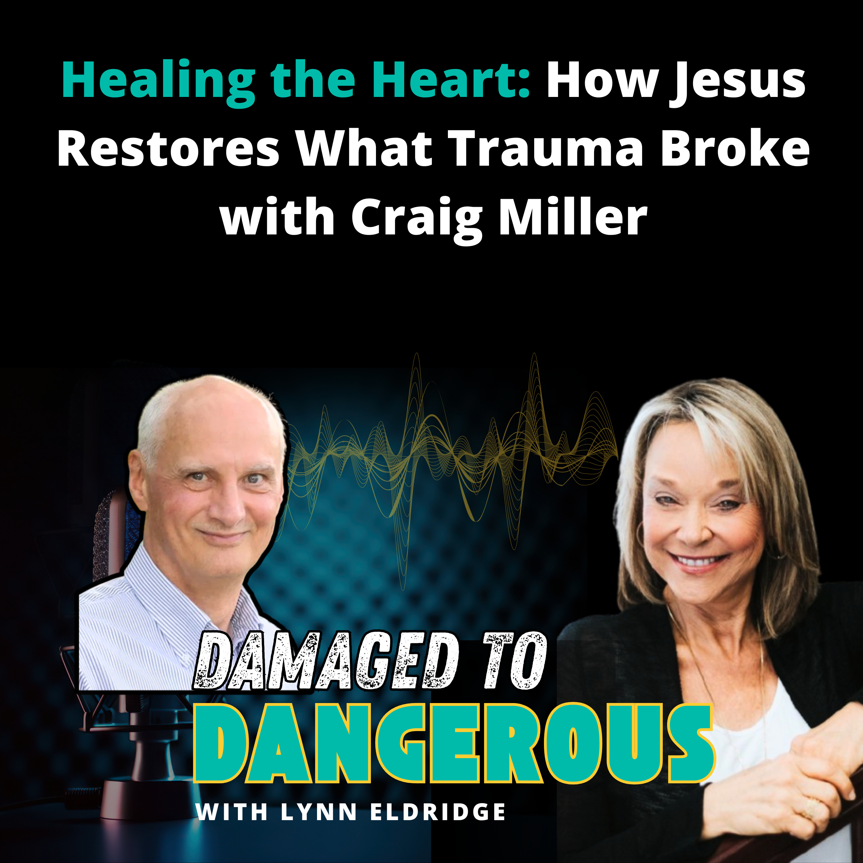 Damaged To Dangerous: What No One Is Telling You About Your Health, Your Spirituality, Your Sanity