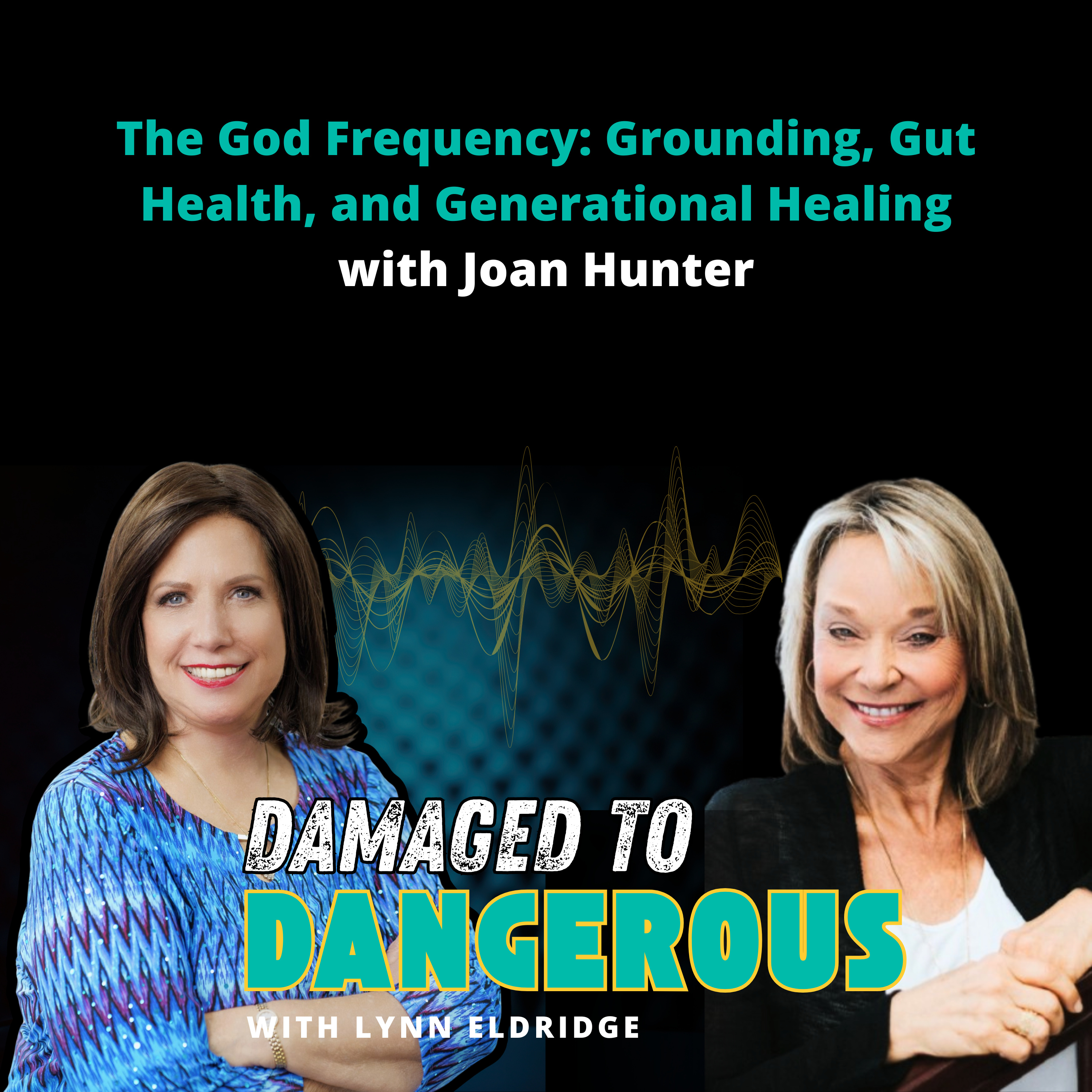Damaged To Dangerous: What No One Is Telling You About Your Health, Your Spirituality, Your Sanity