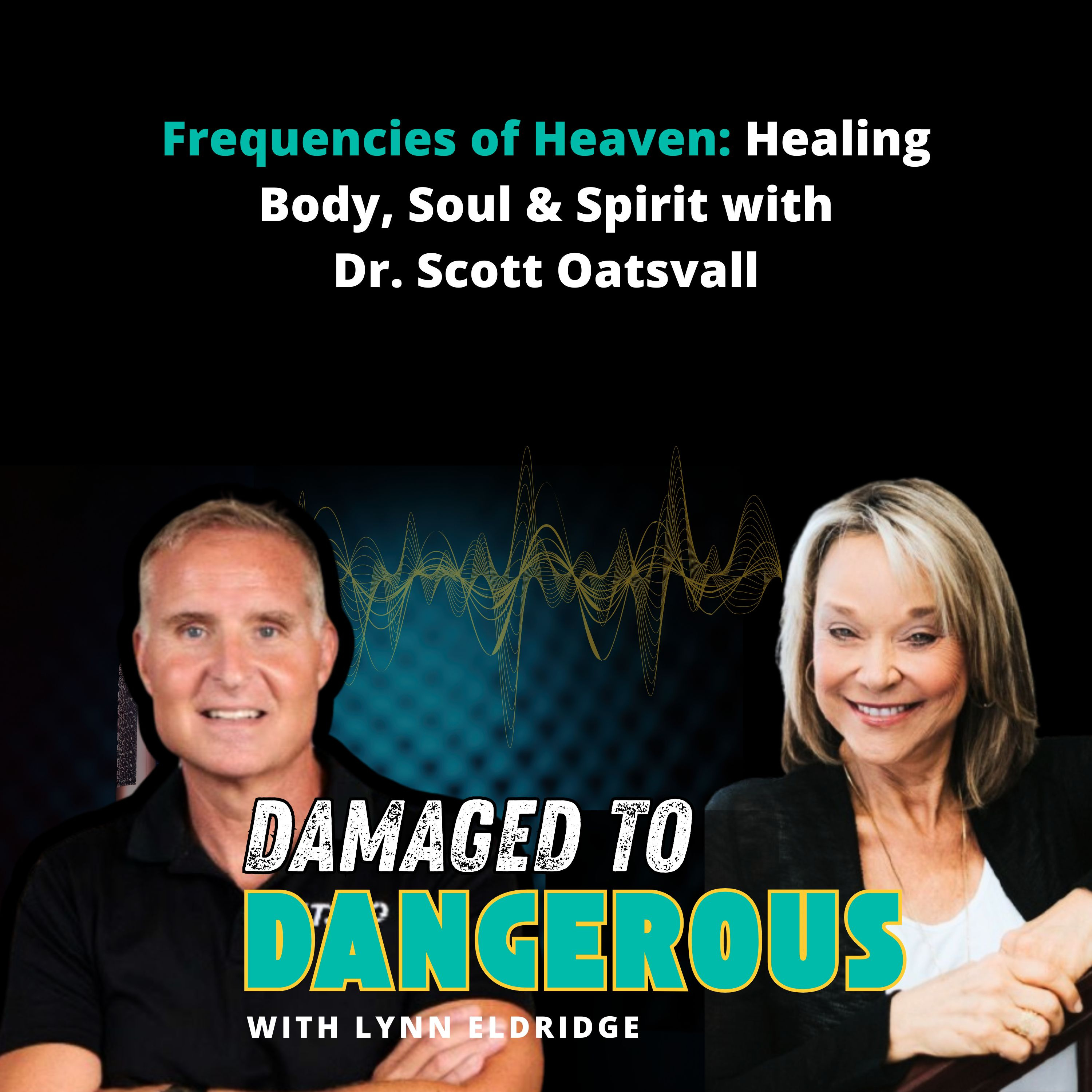 Damaged To Dangerous: What No One Is Telling You About Your Health, Your Spirituality, Your Sanity