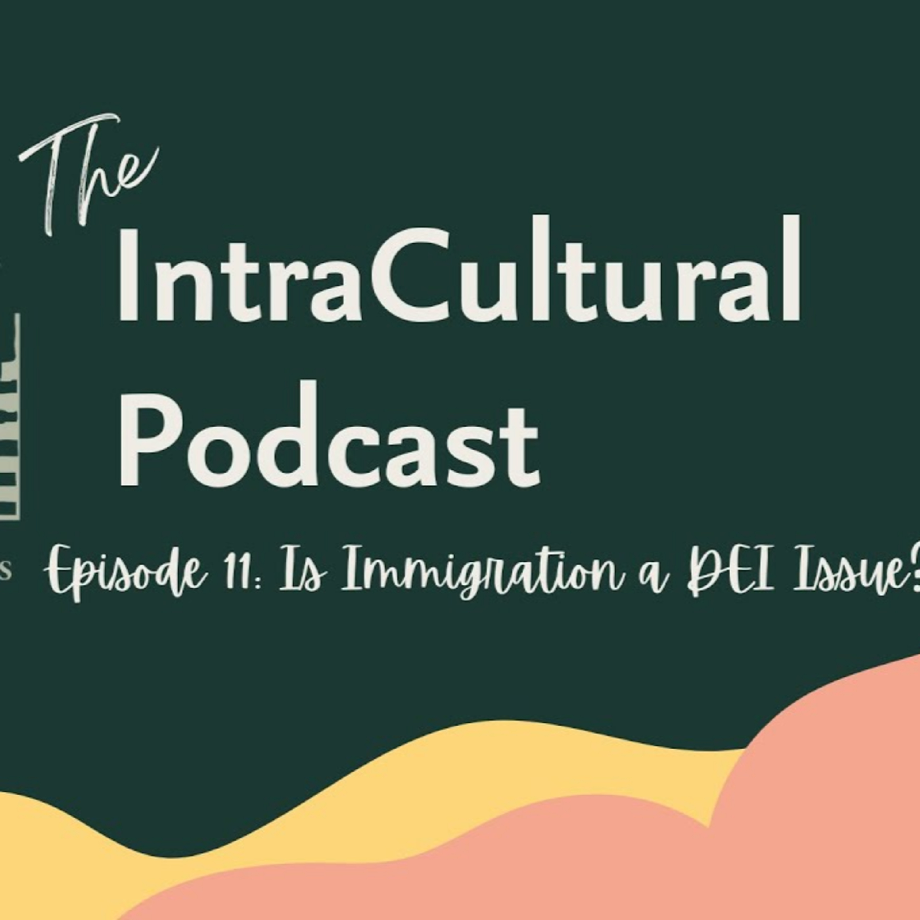 Episode 11: Is Immigration a DEI Issue? episode artwork