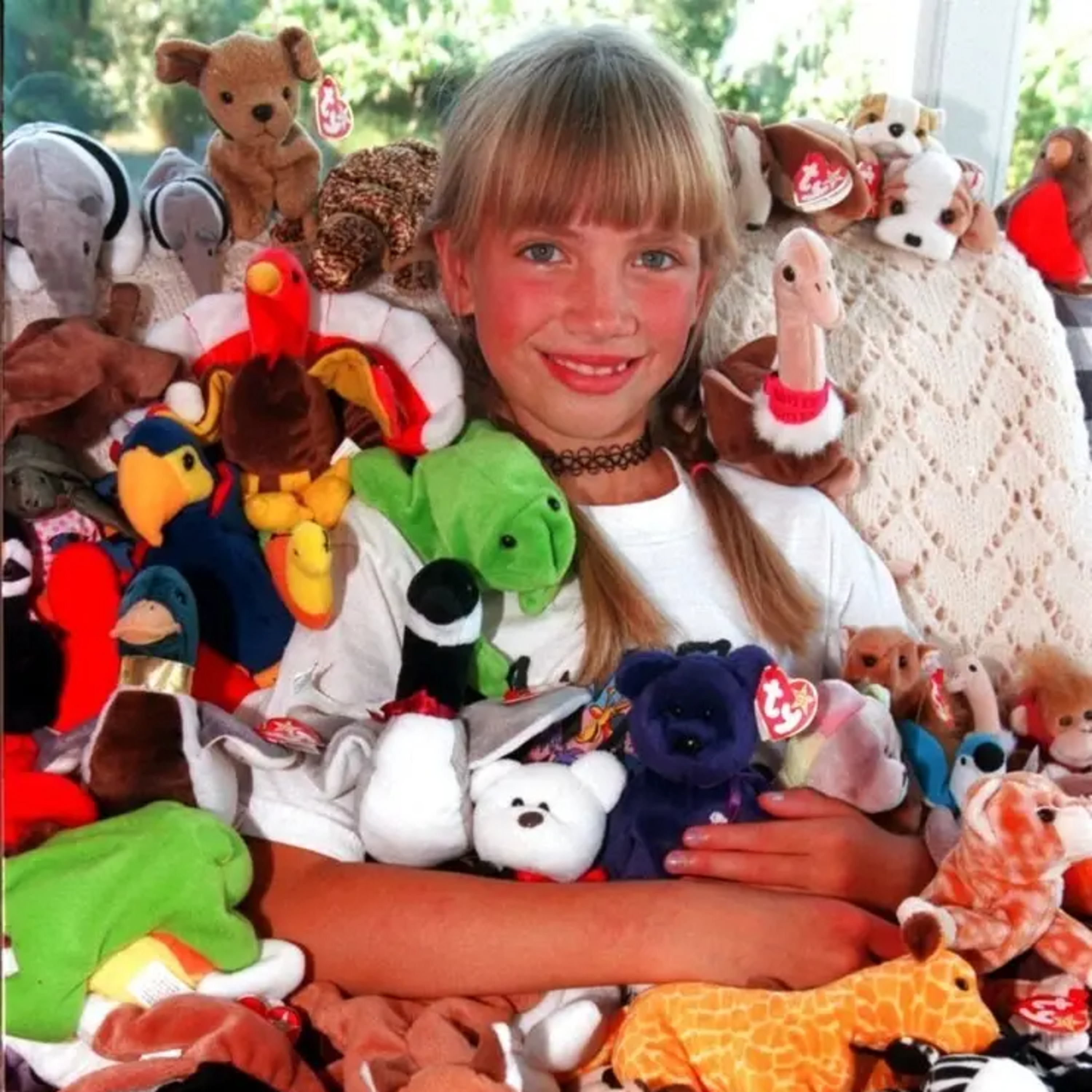 Stuffed Dreams: The Rise and Fall of the Beanie Babies Craze