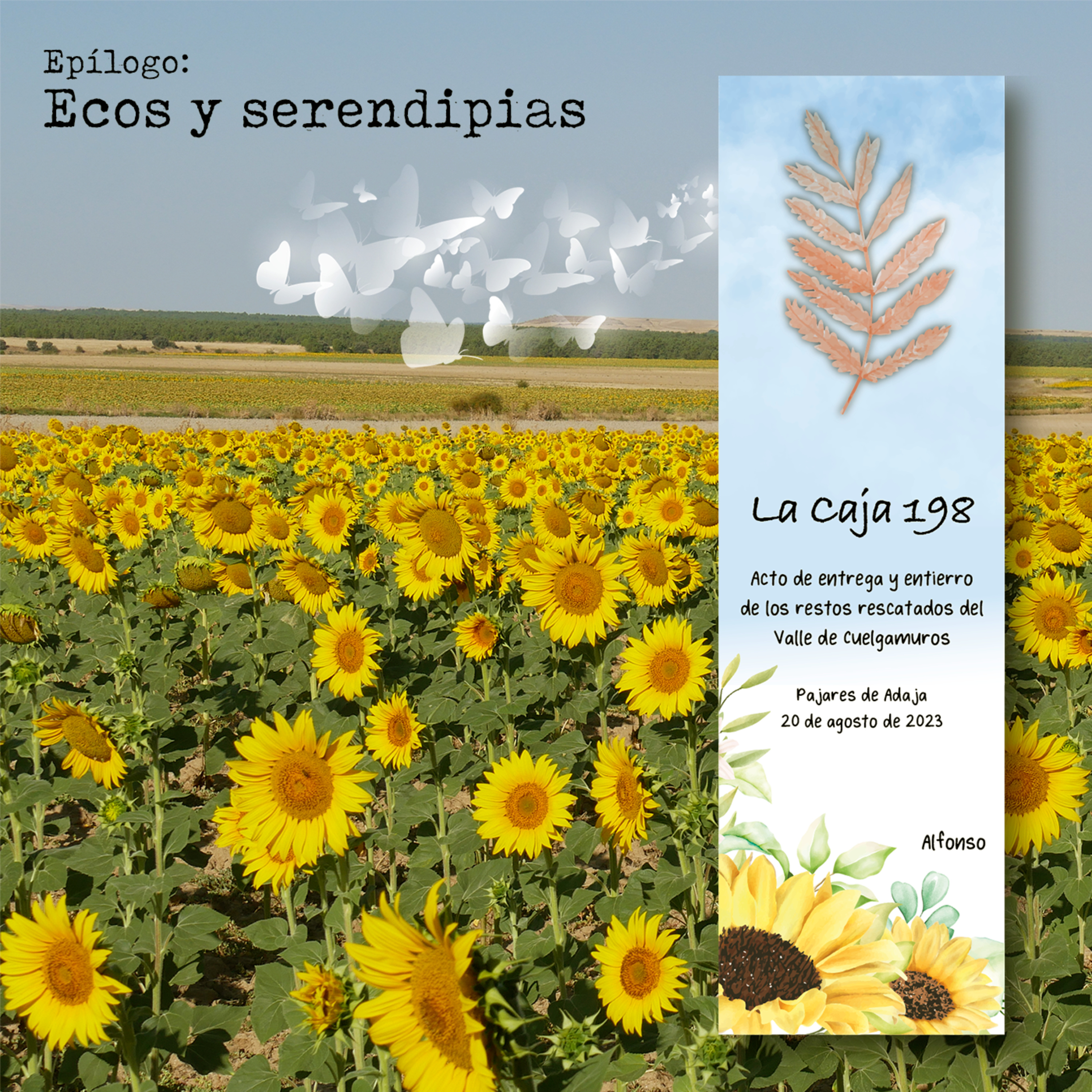 La Caja 198. Una historia rural de silencios