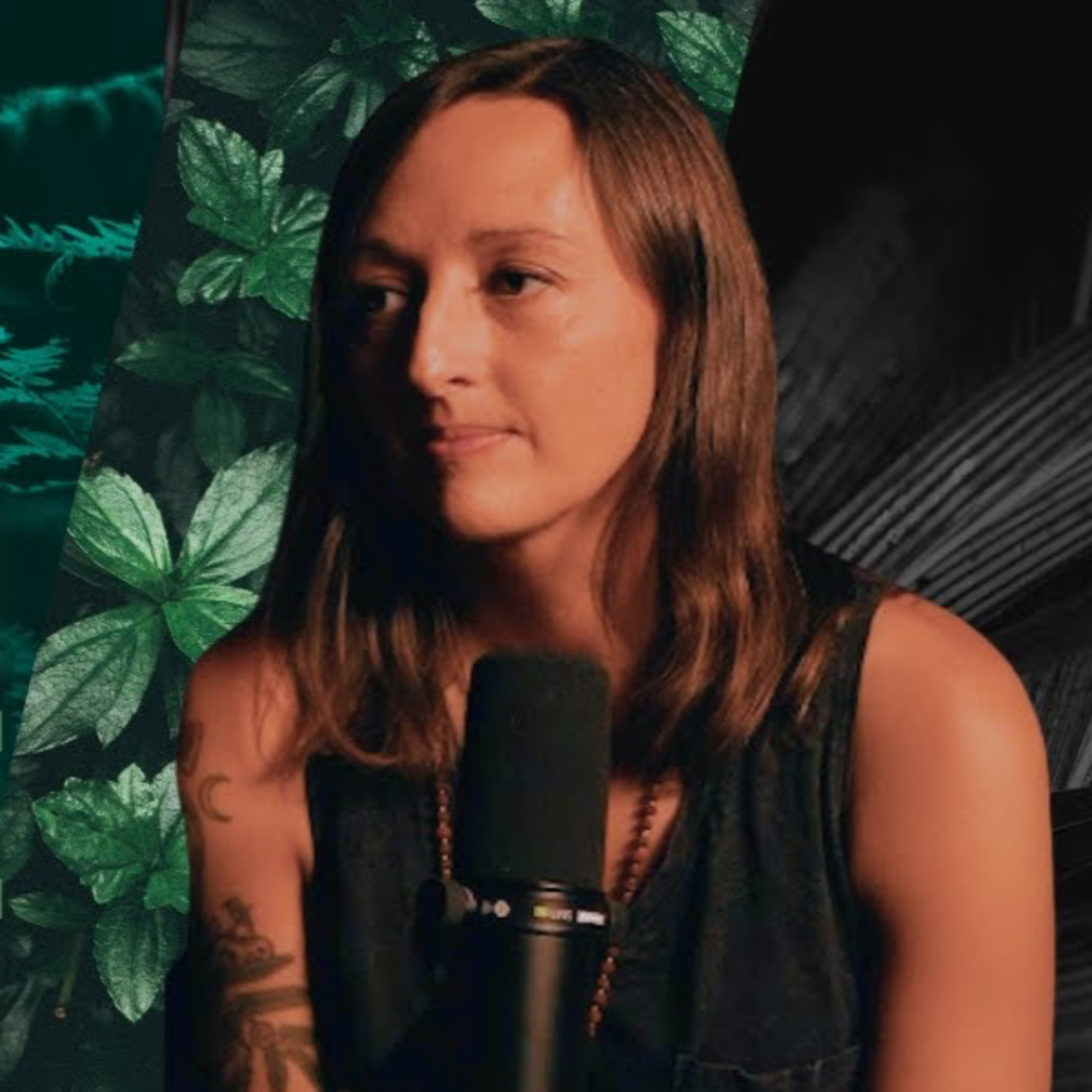TruthSeekah And Arien Podcast