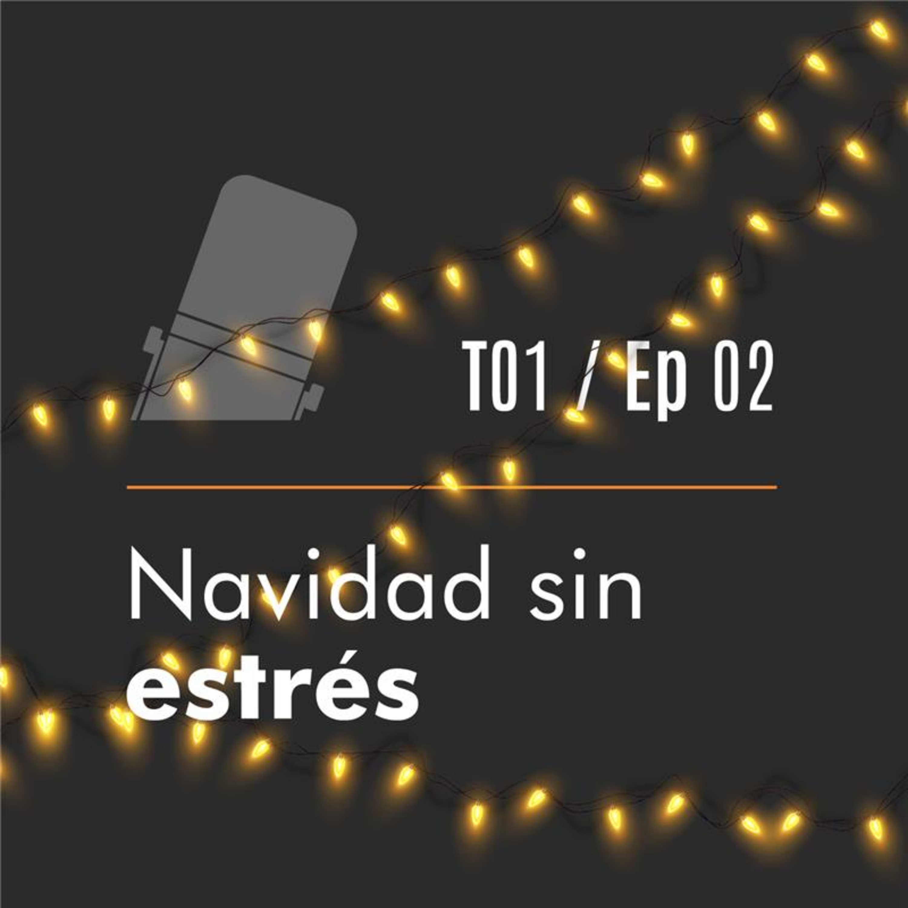 Ep 02 Navidad sin estrés con la Doc. Blanca Lucía Herrera episode artwork