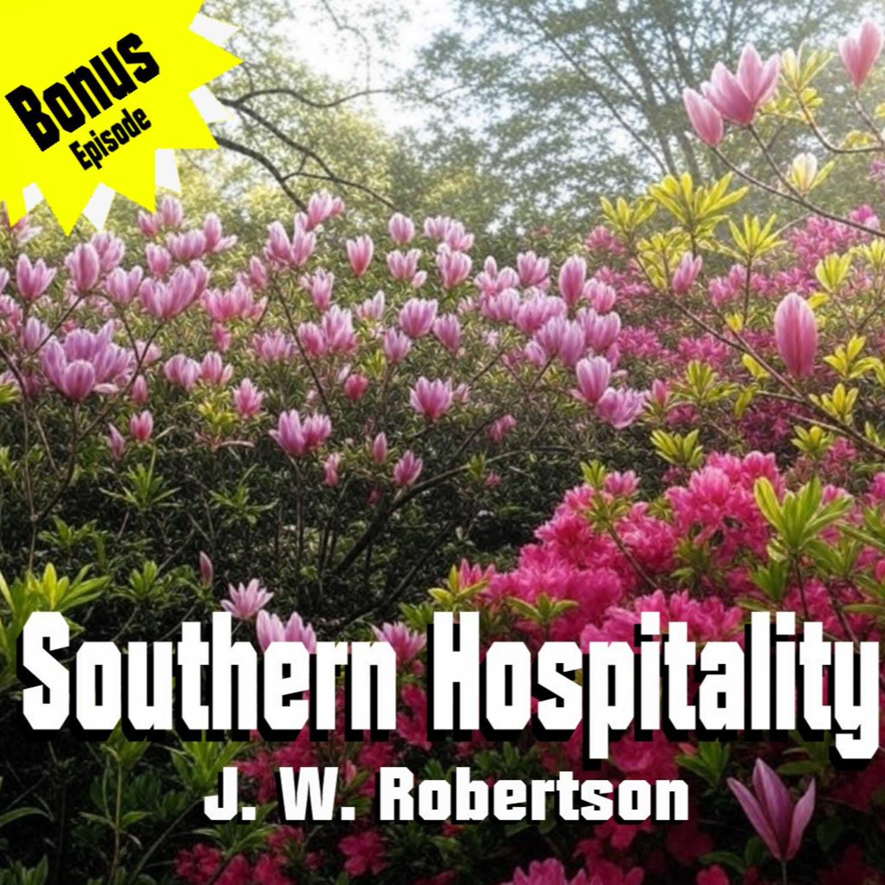 Bonus Episode - Southern Hospitality by J W Robertson