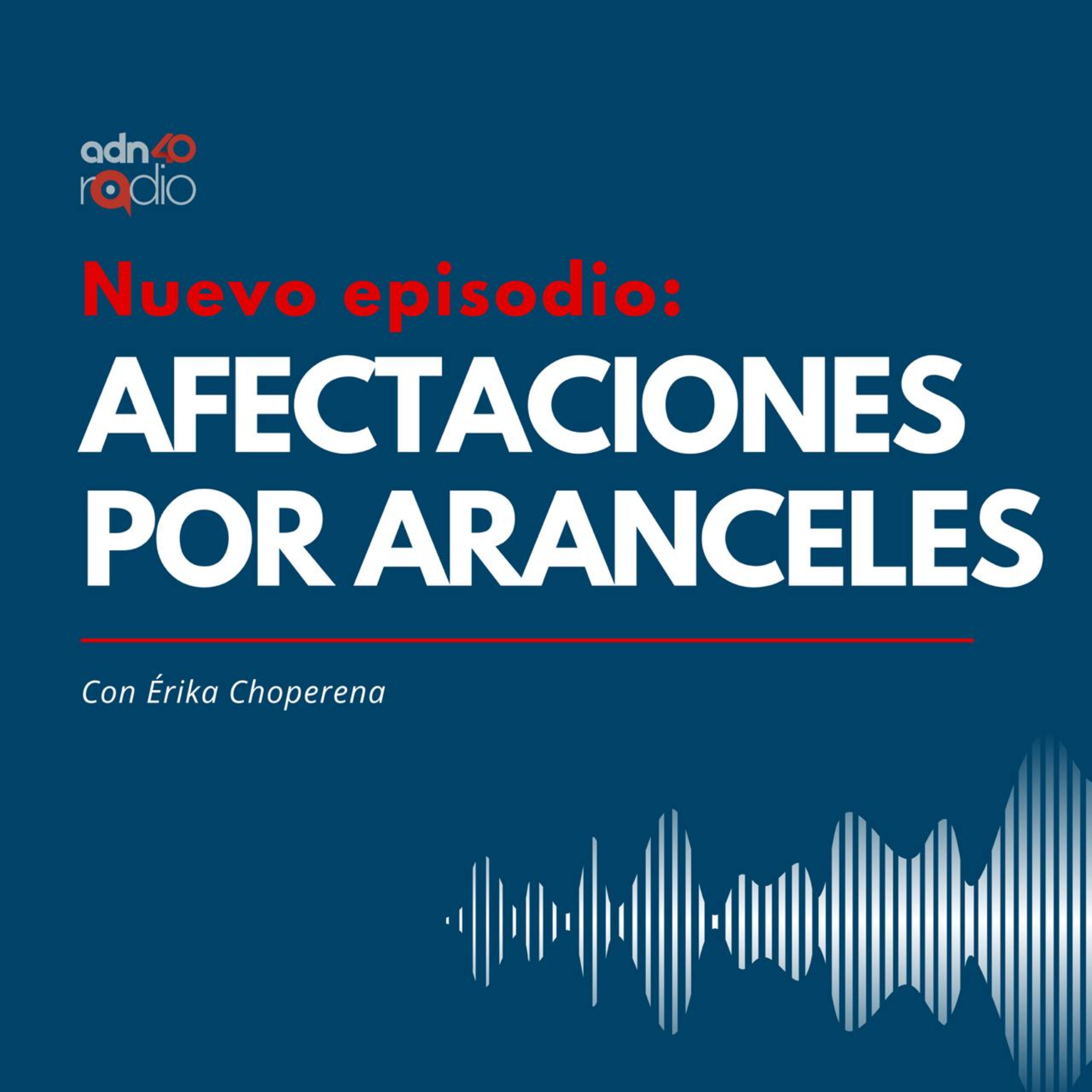 La OCDE informa cómo afectarán los aranceles de Estados Unidos episode artwork