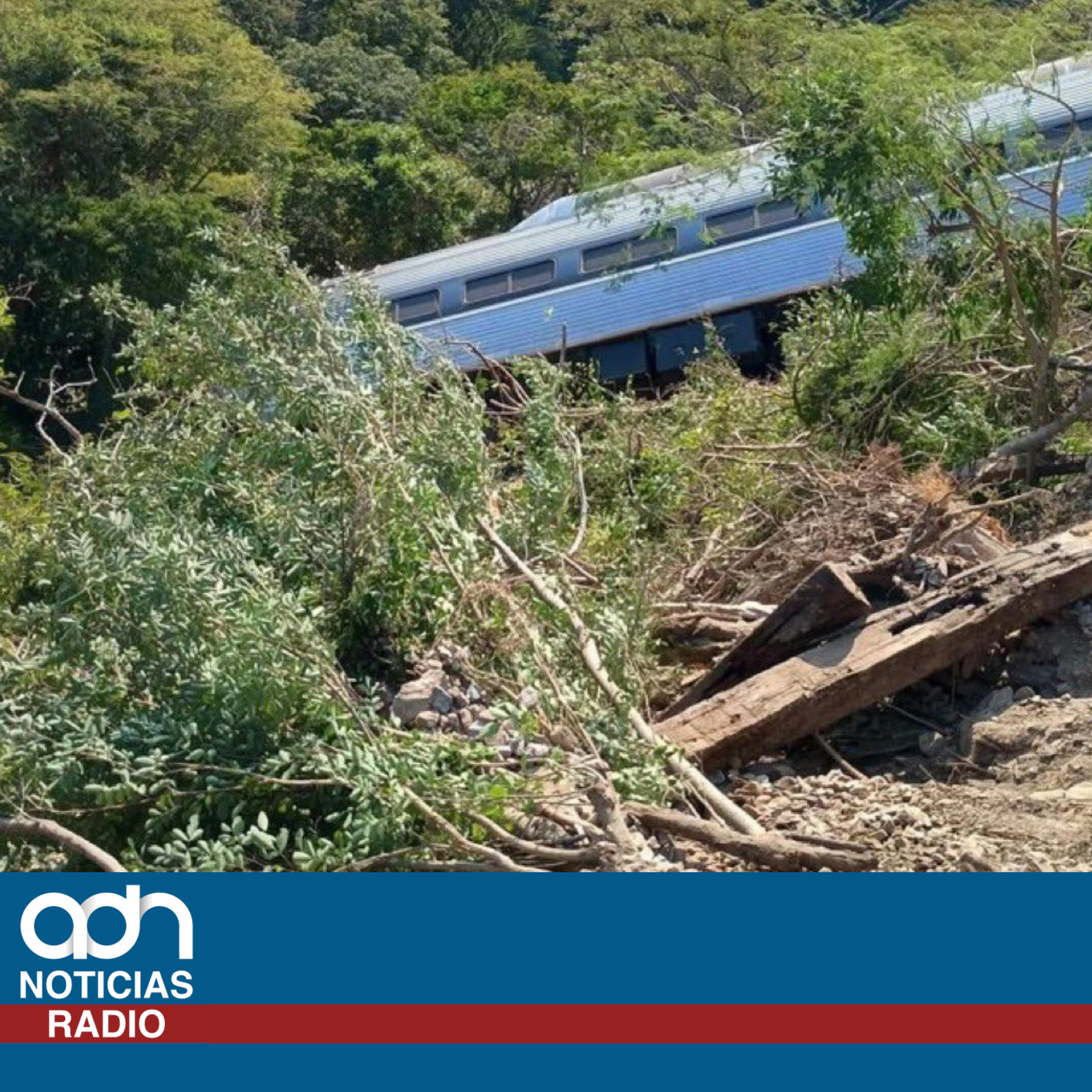 Víctimas del Tren Interoceánico denunciarán ante FGR