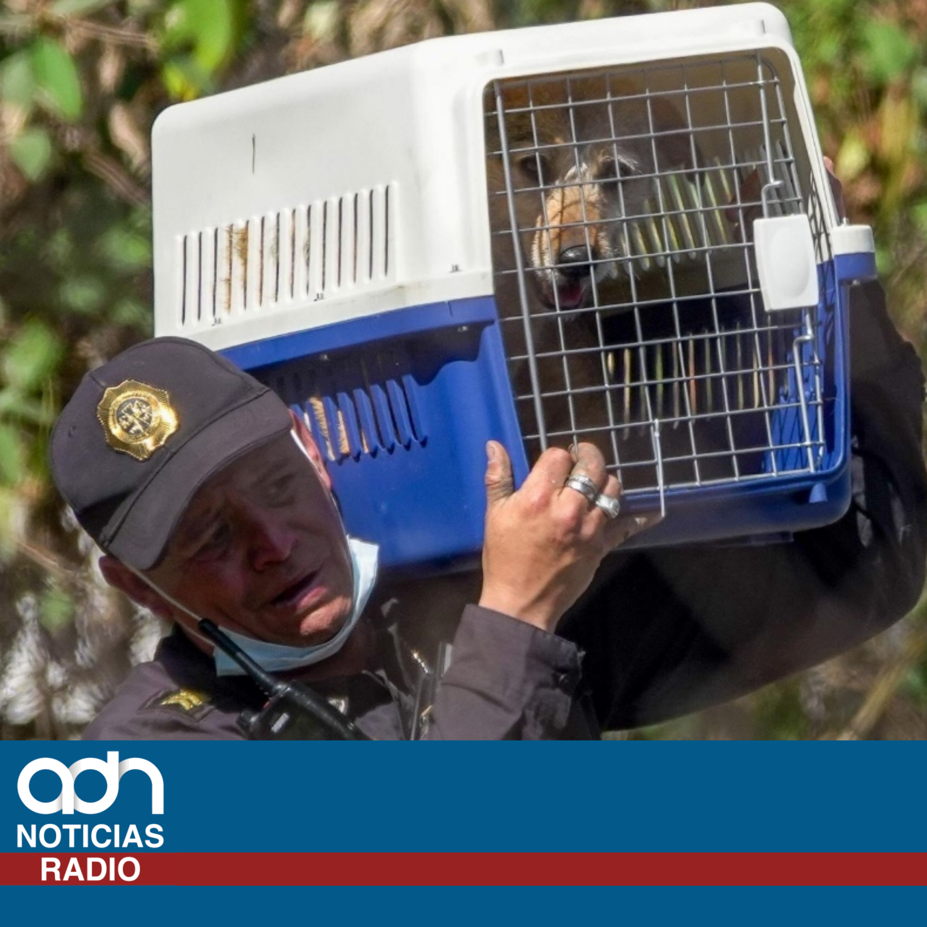 Rescatan a casi mil animales de refugio en Cuajimalpa