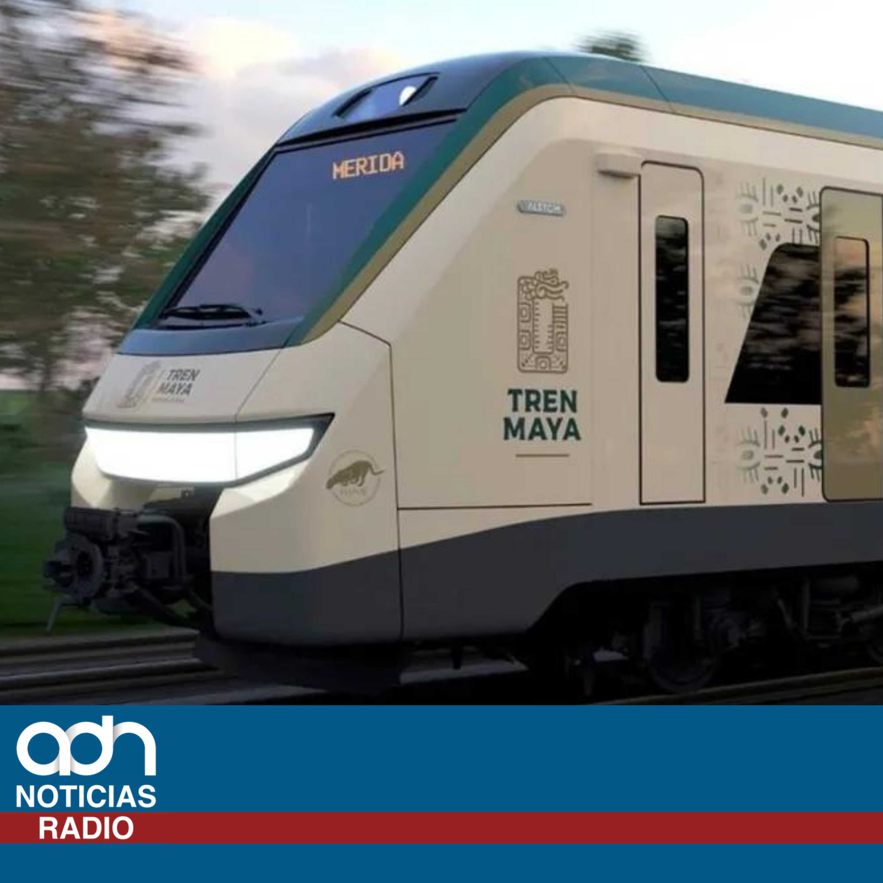 Se hunden pilares del tren maya