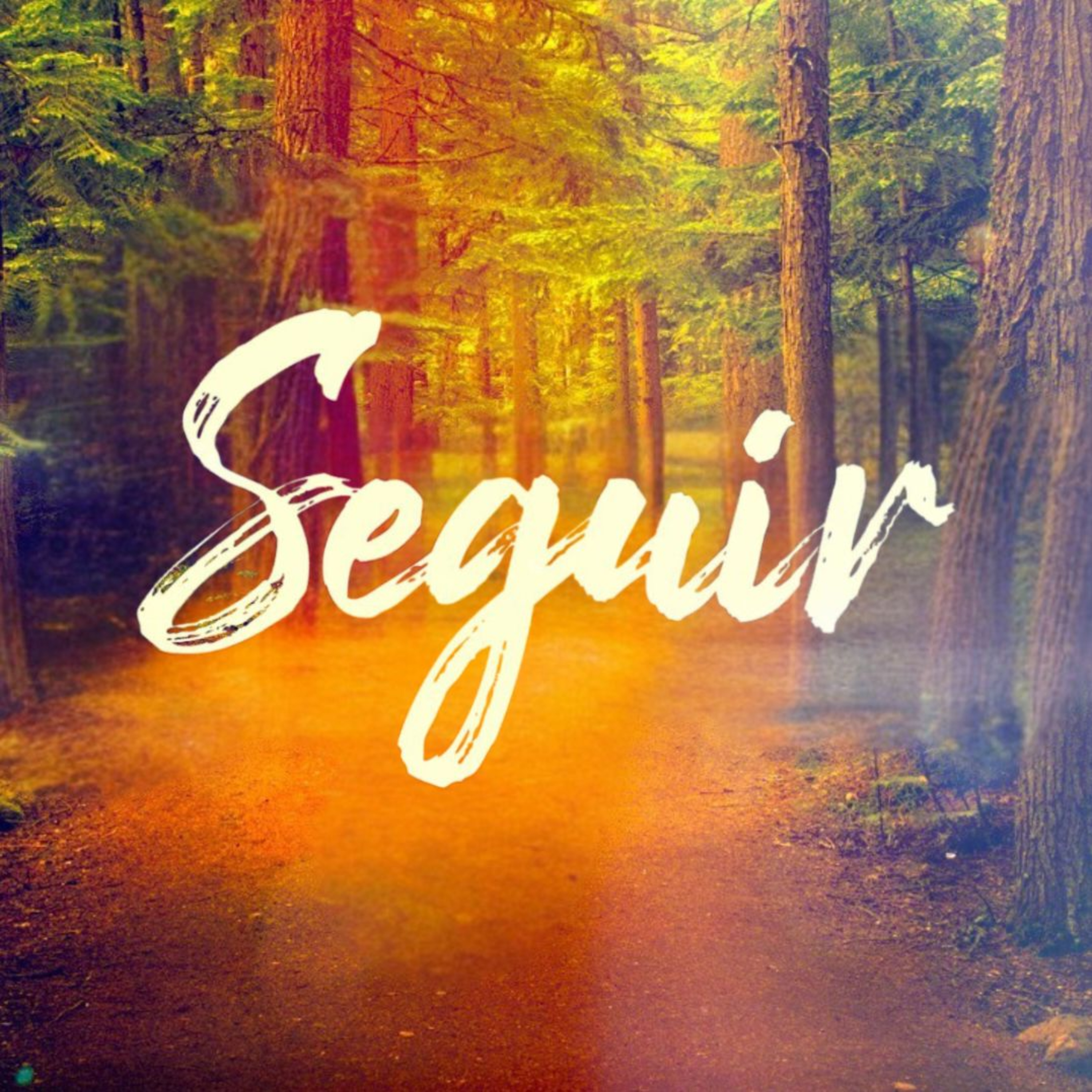 Re•Inicio