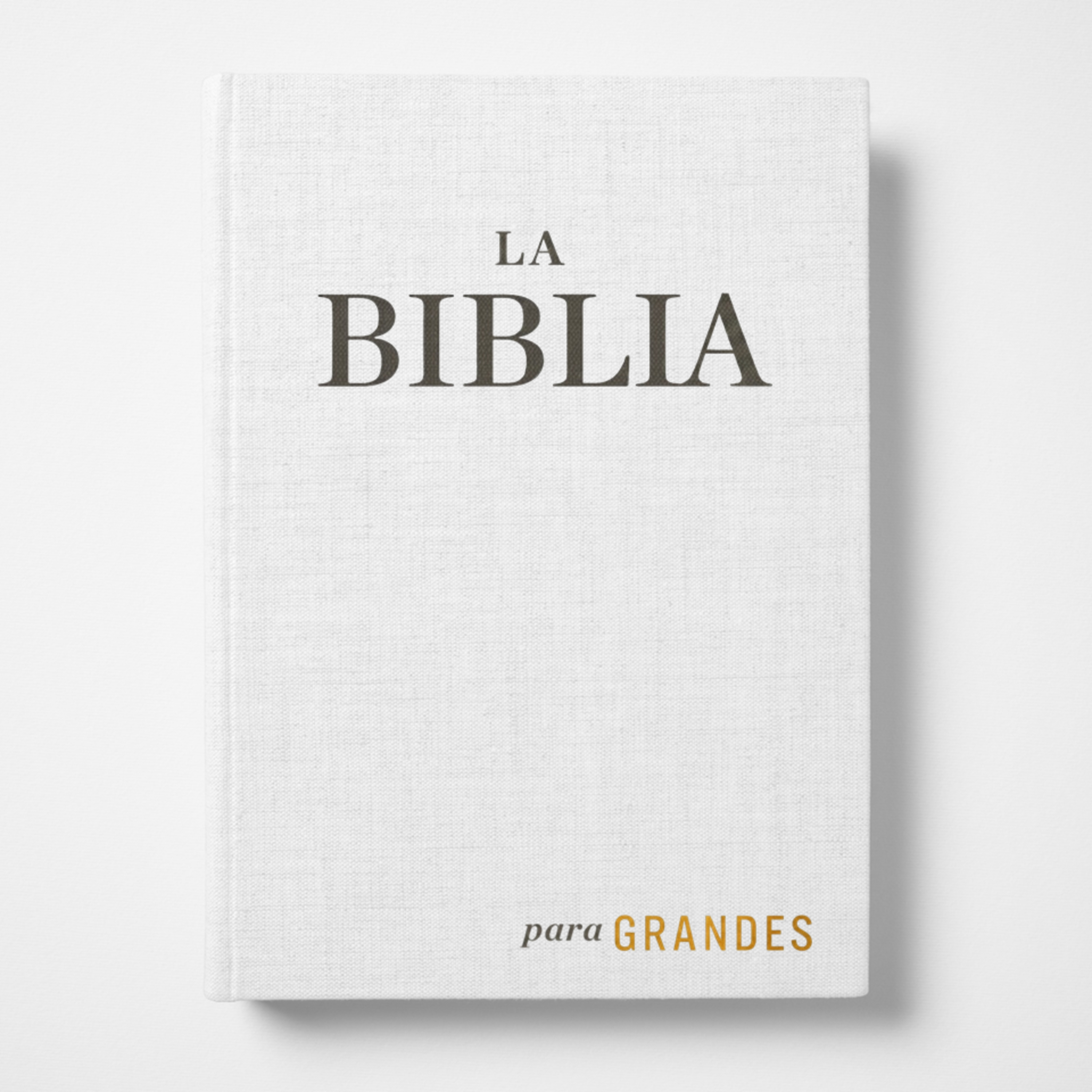 EL ANTIGUO TESTAMENTO | La Biblia para grandes episode artwork
