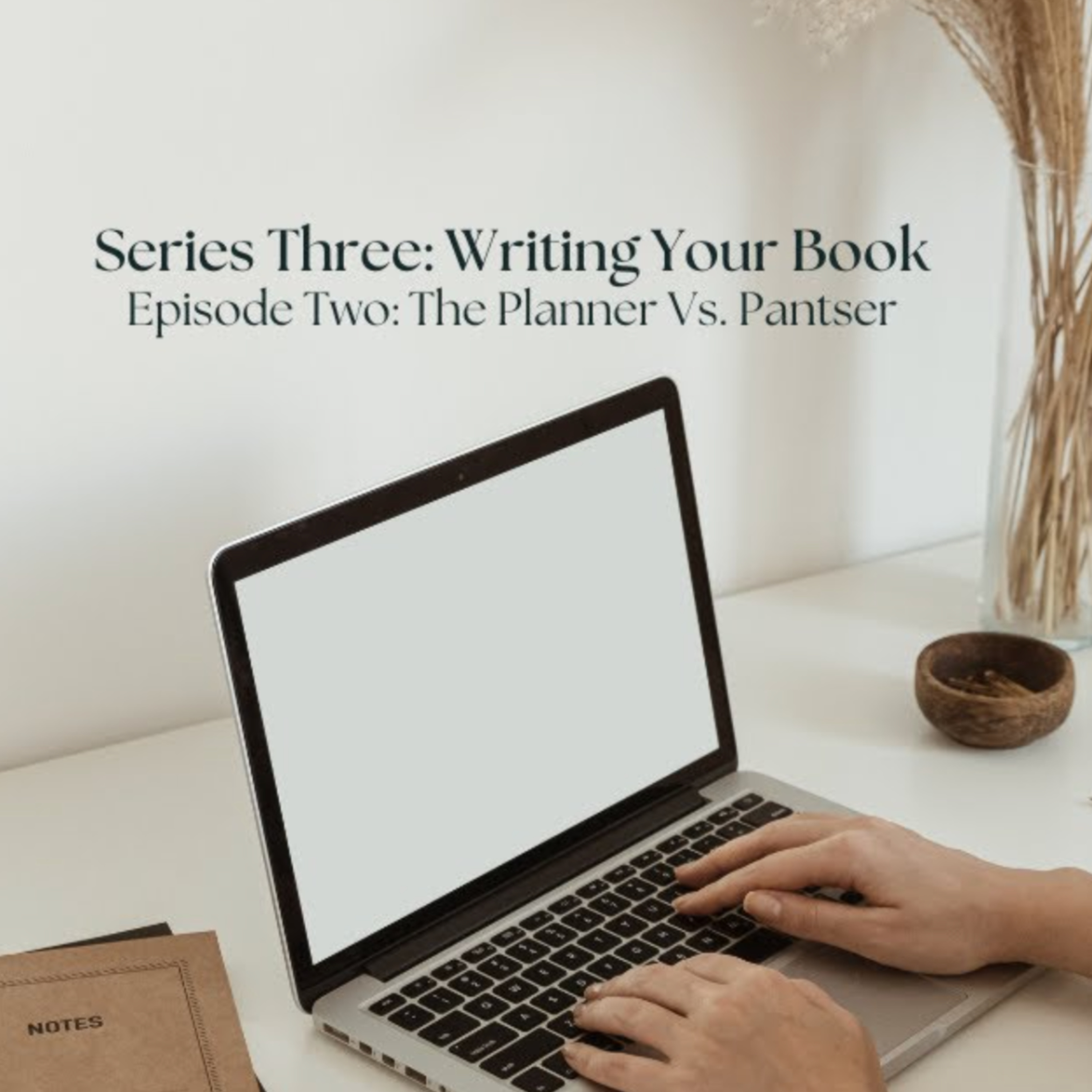 Write Your Book - Planner vs Pantser