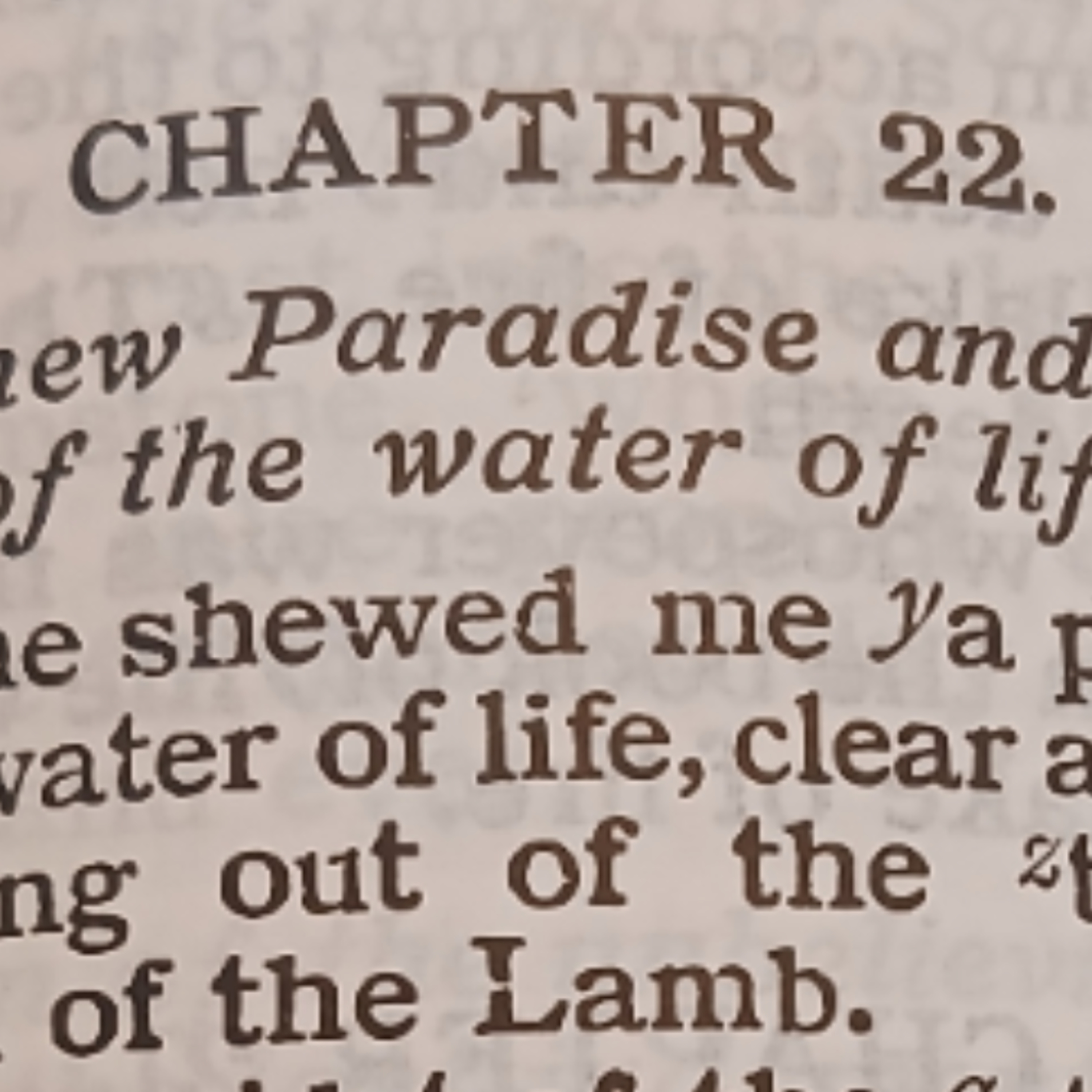 Revelation chapter 22
