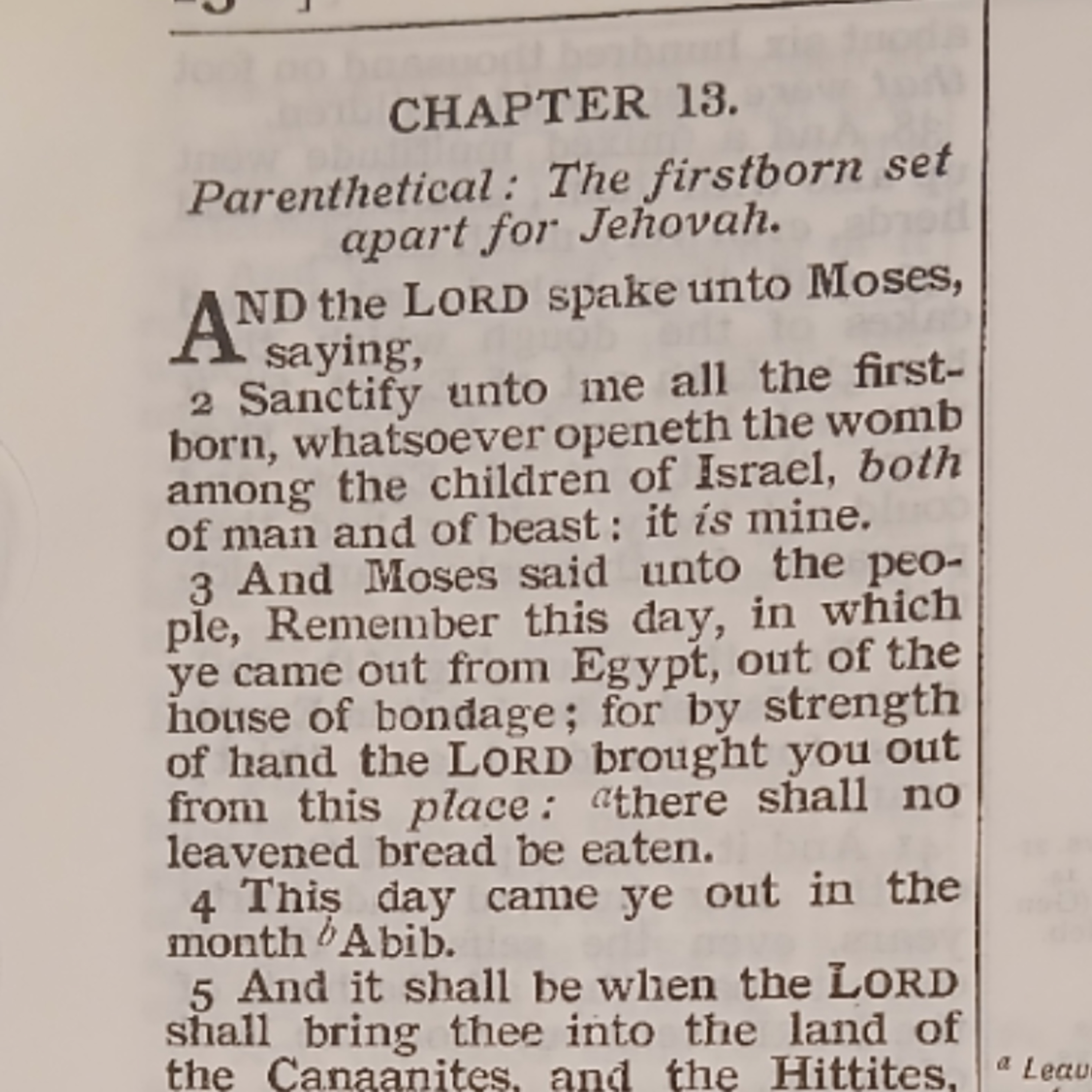 Exodus chapter 13