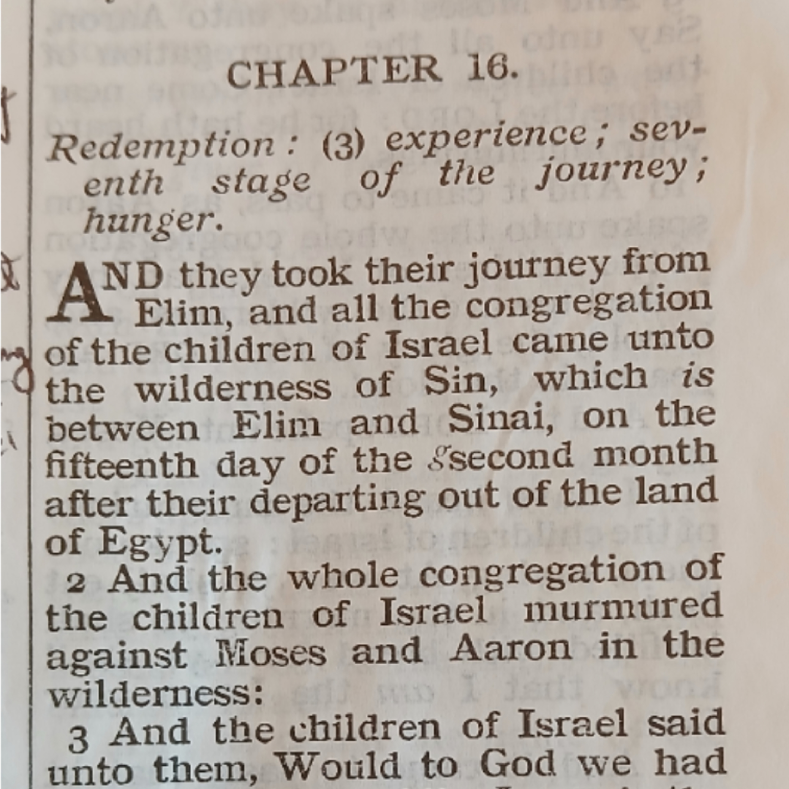 Exodus chapter 16