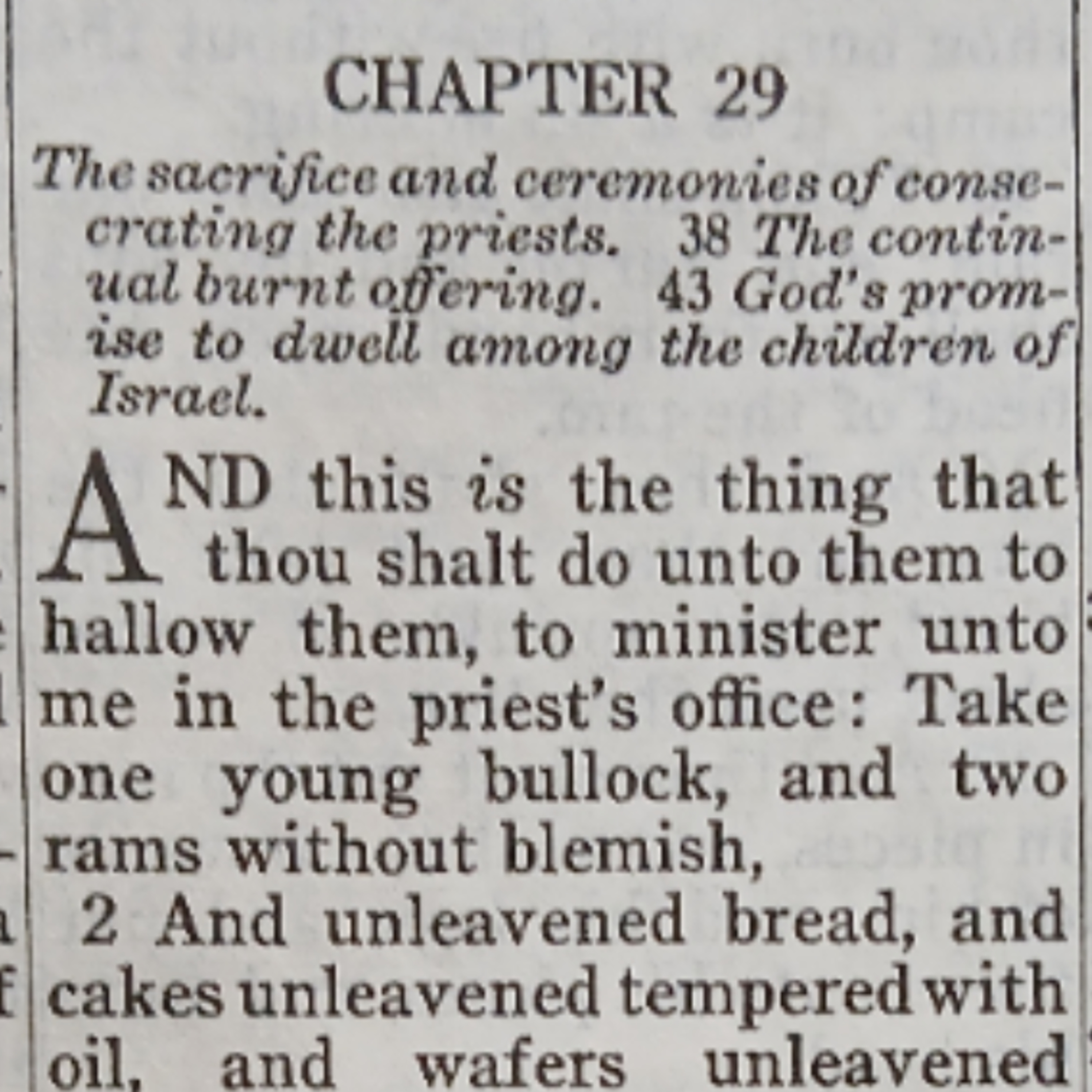 Exodus chapter 29