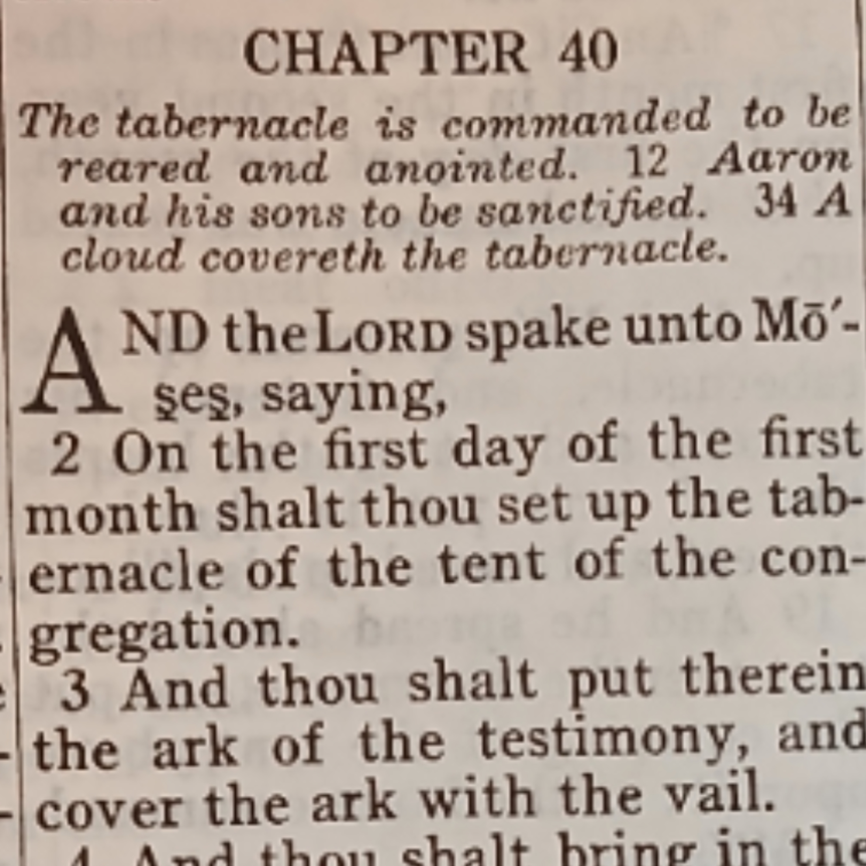 Exodus chapter 40