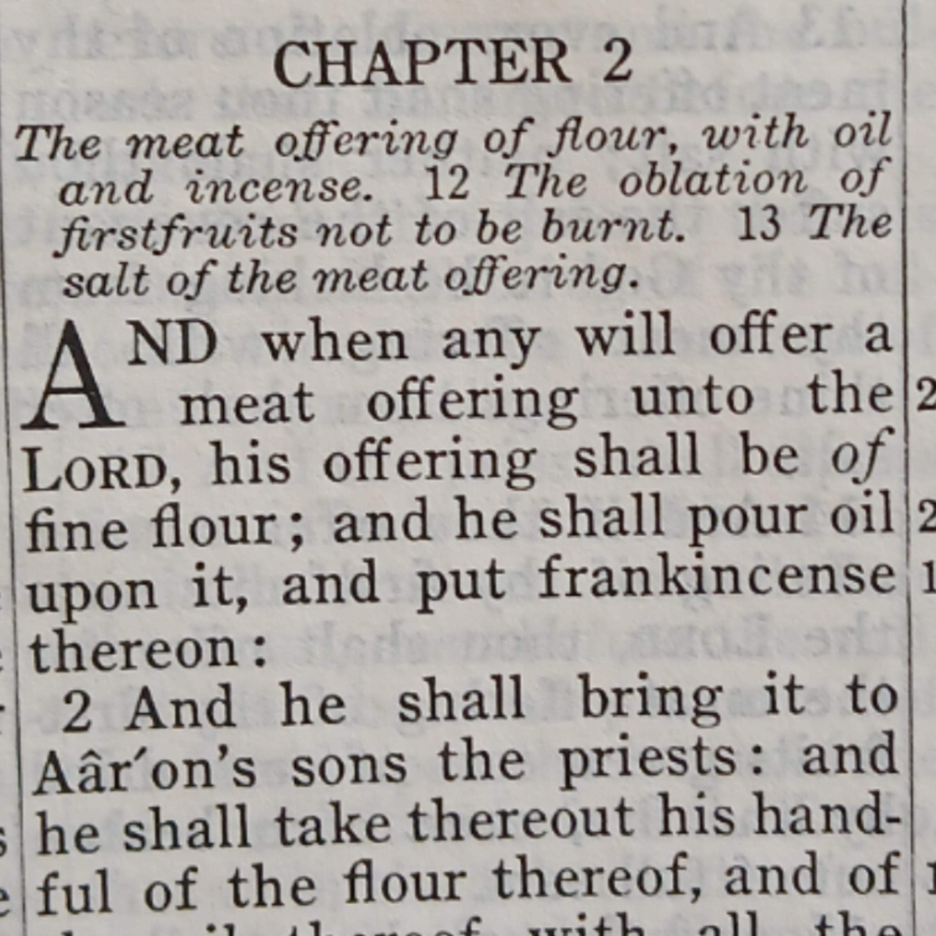 Leviticus chapter 2
