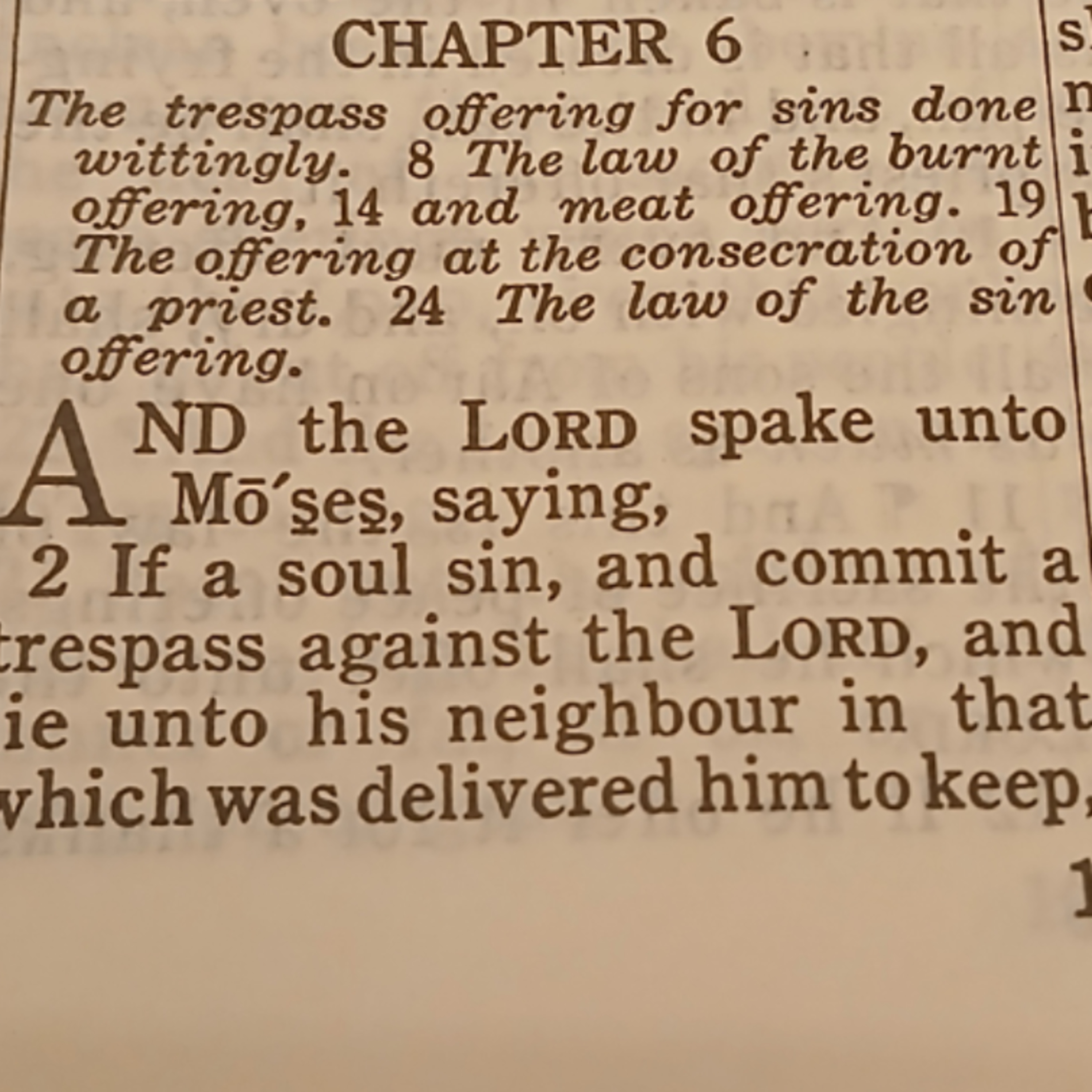 Leviticus chapter 6