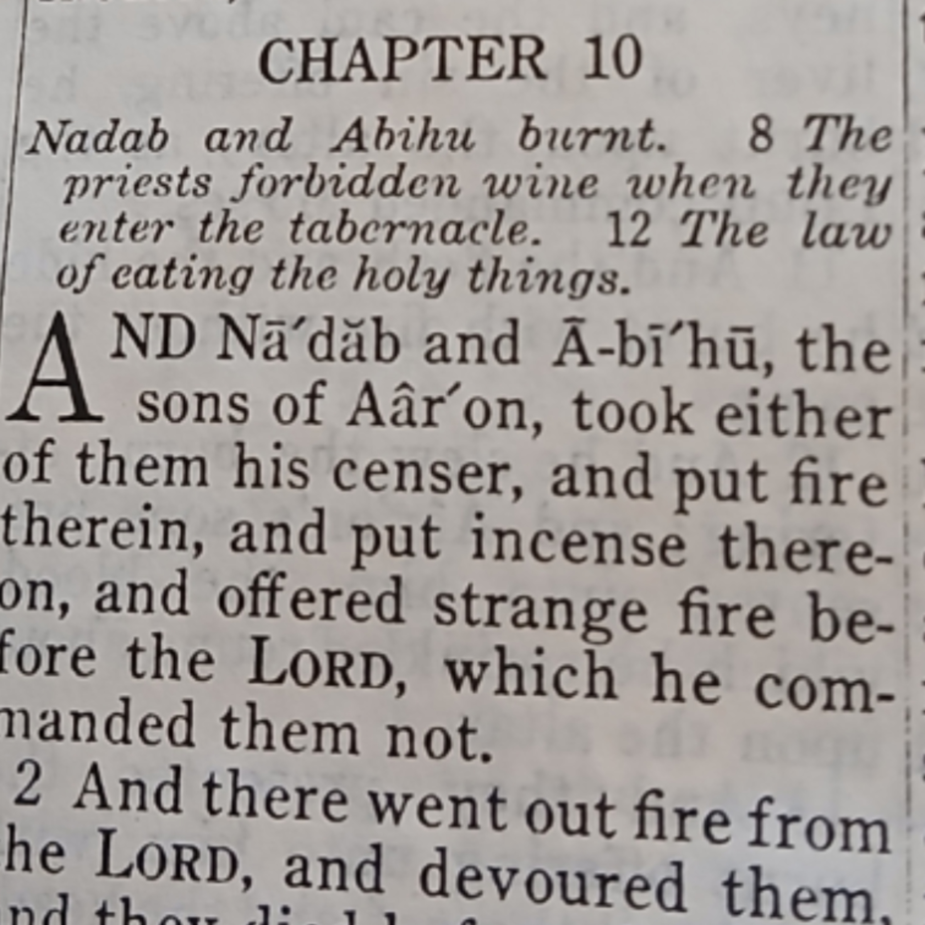 Leviticus chapter 10