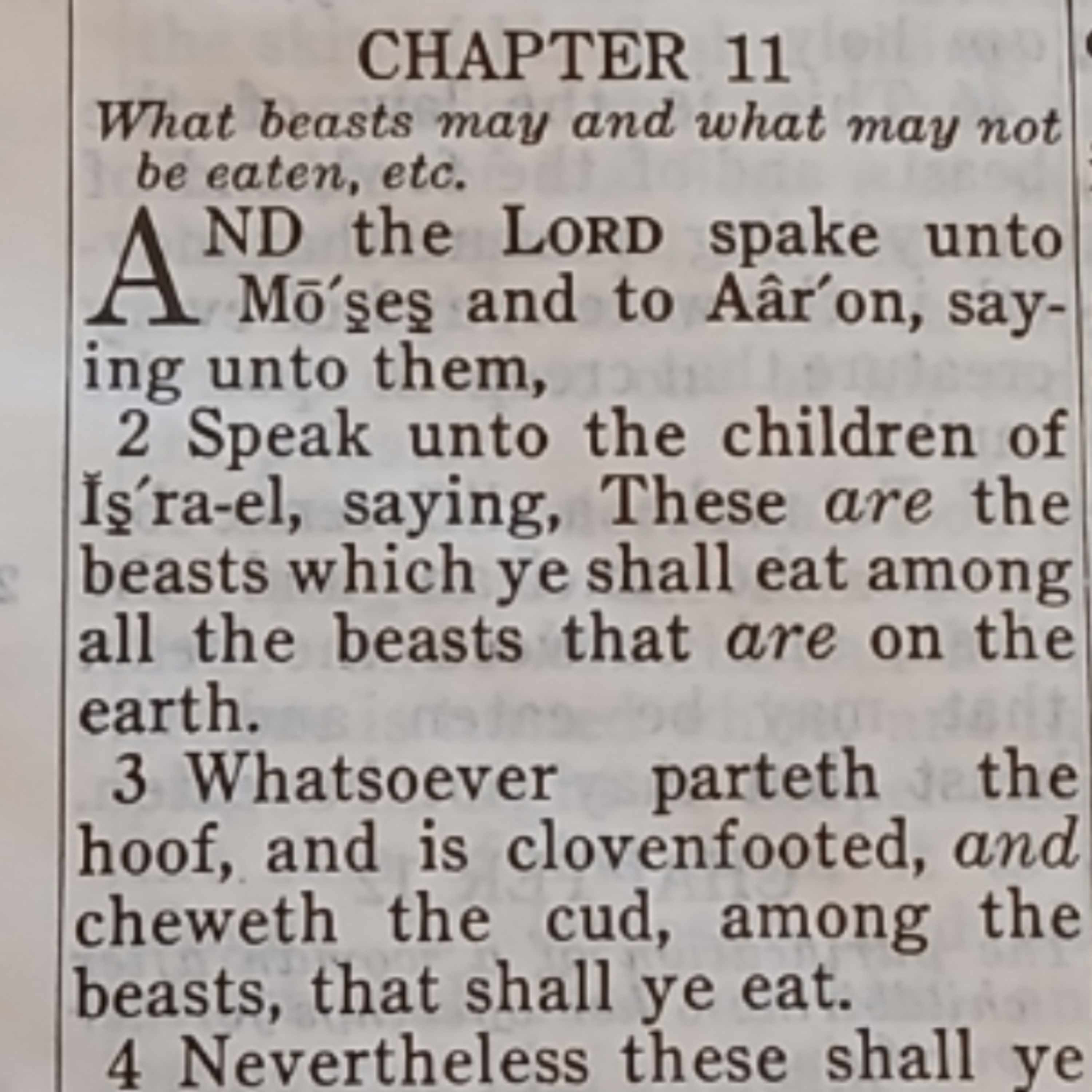 Leviticus chapter 11