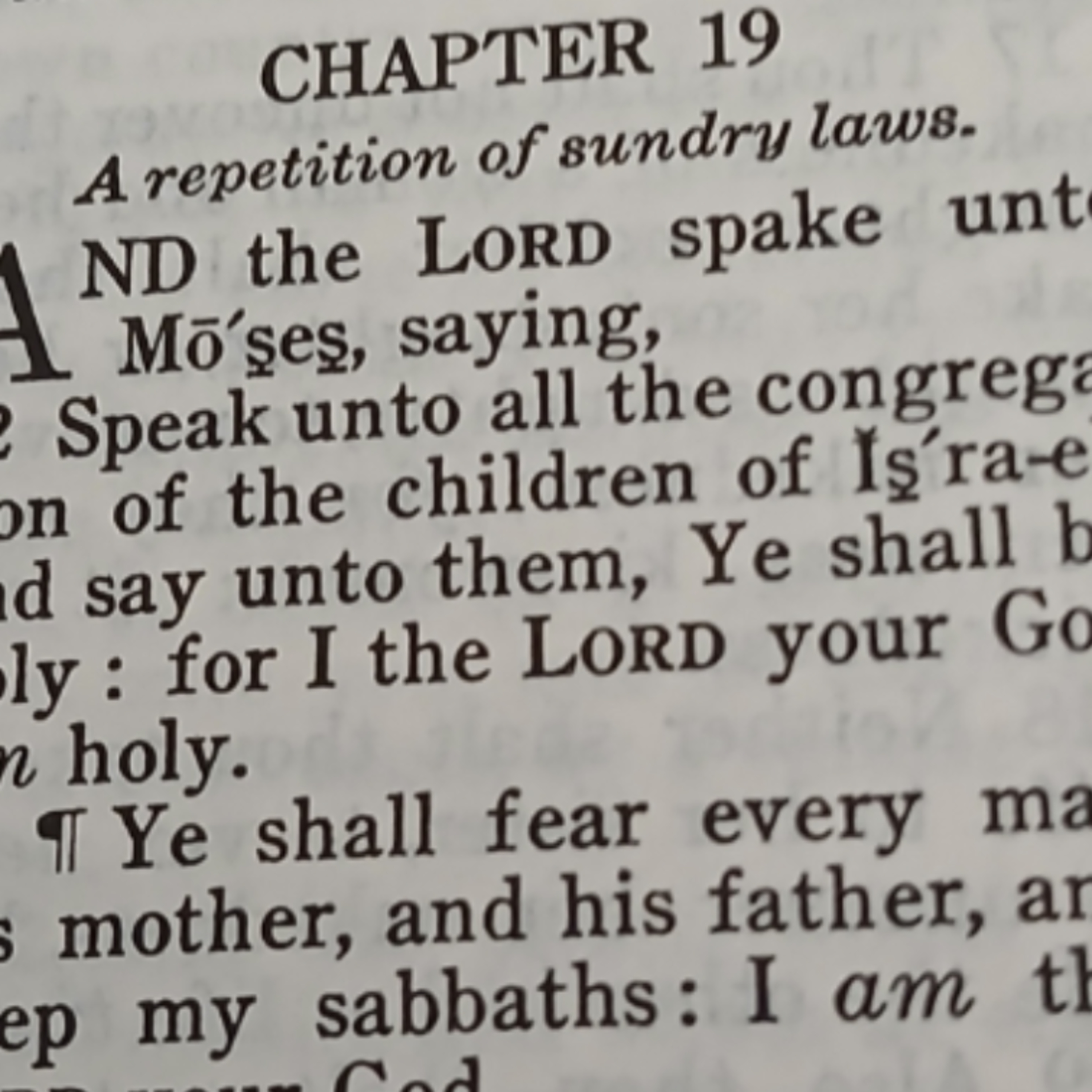 Leviticus chapter 19