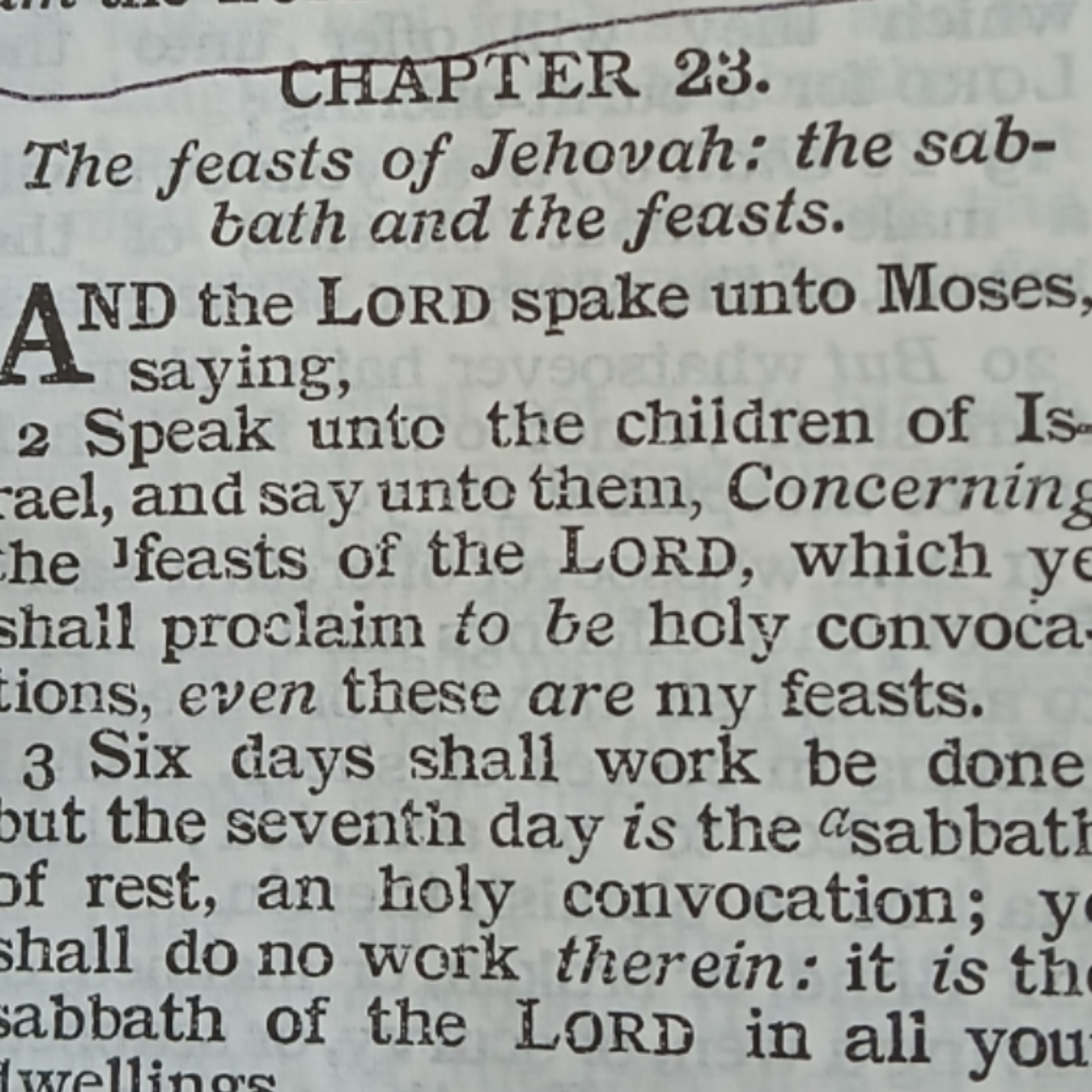 Leviticus chapter 23