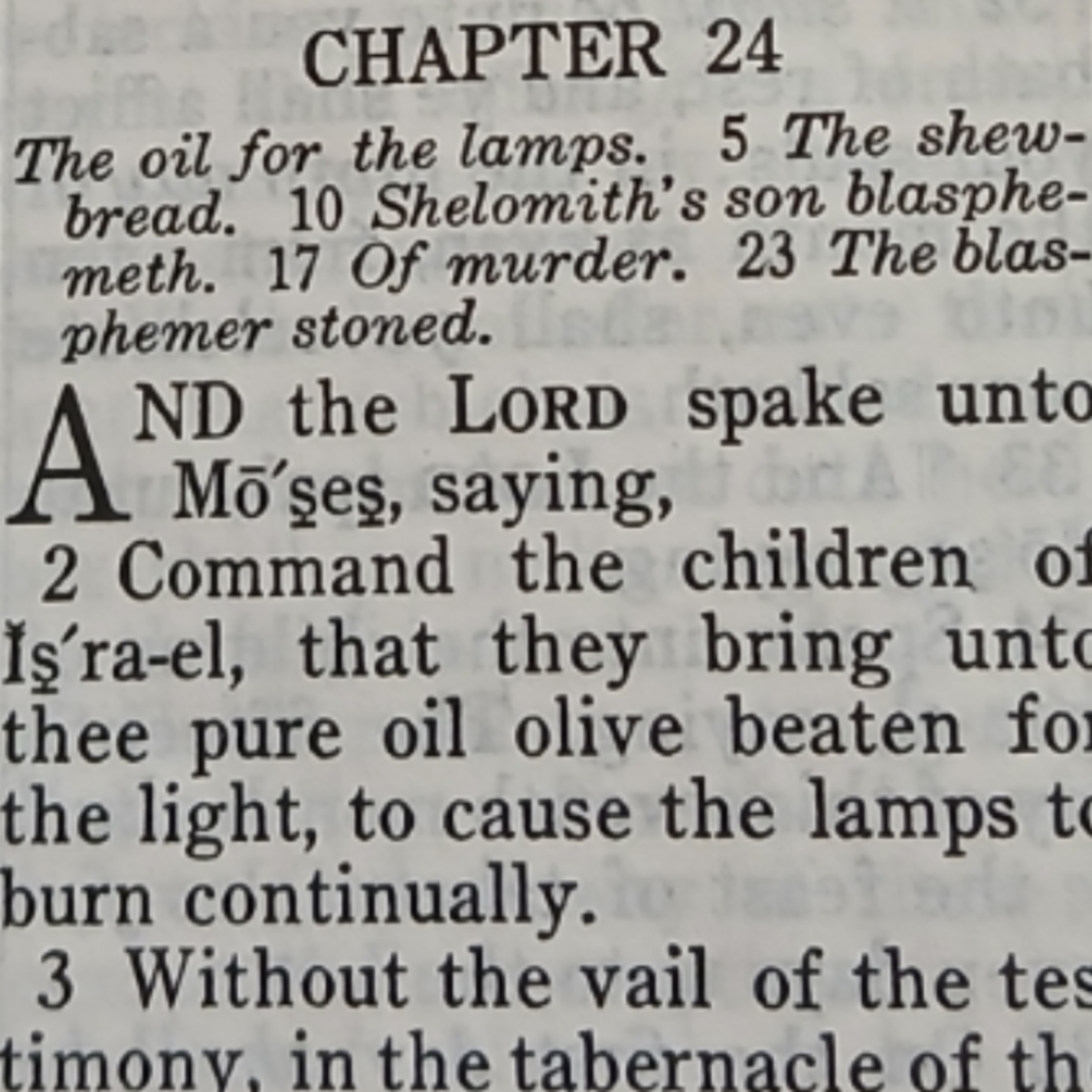 Leviticus chapter 24
