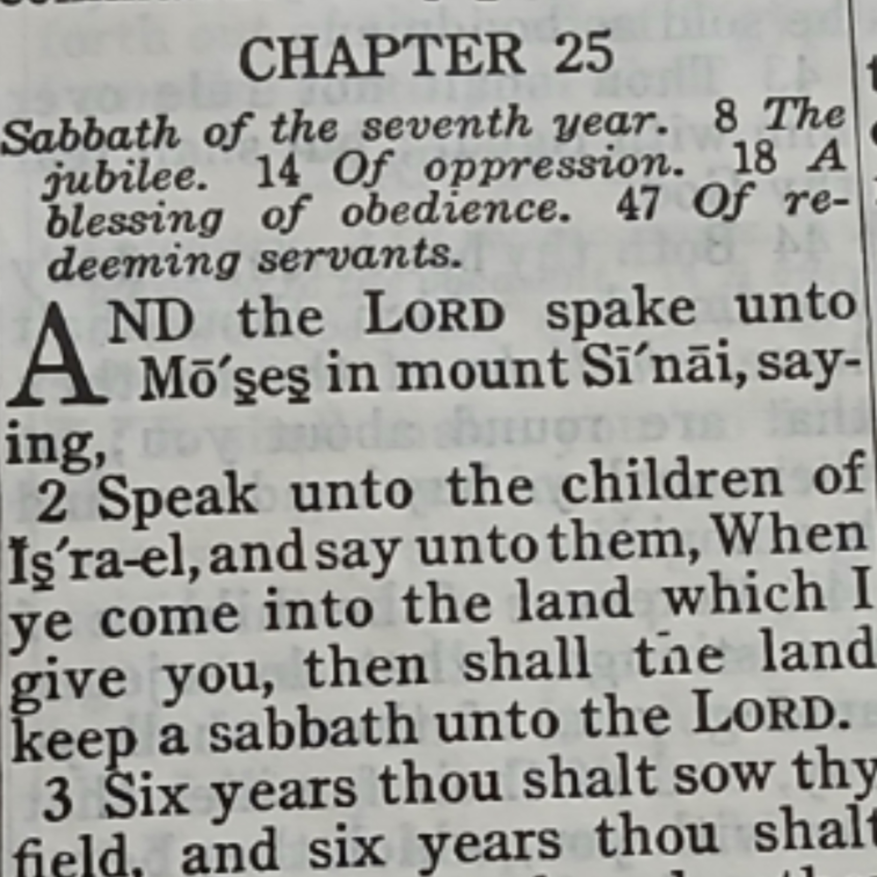 Leviticus chapter 25