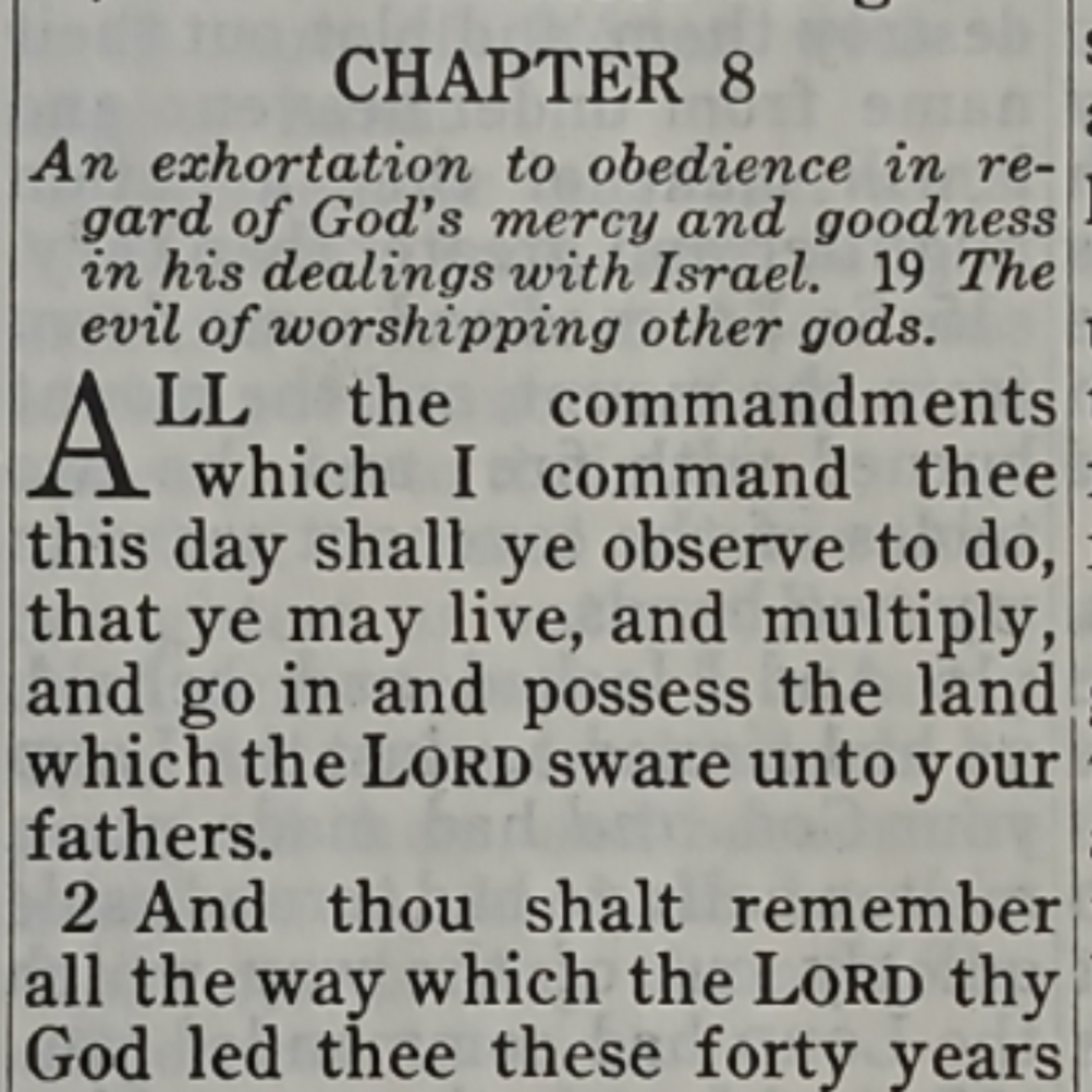 Deuteronomy chapter 8
