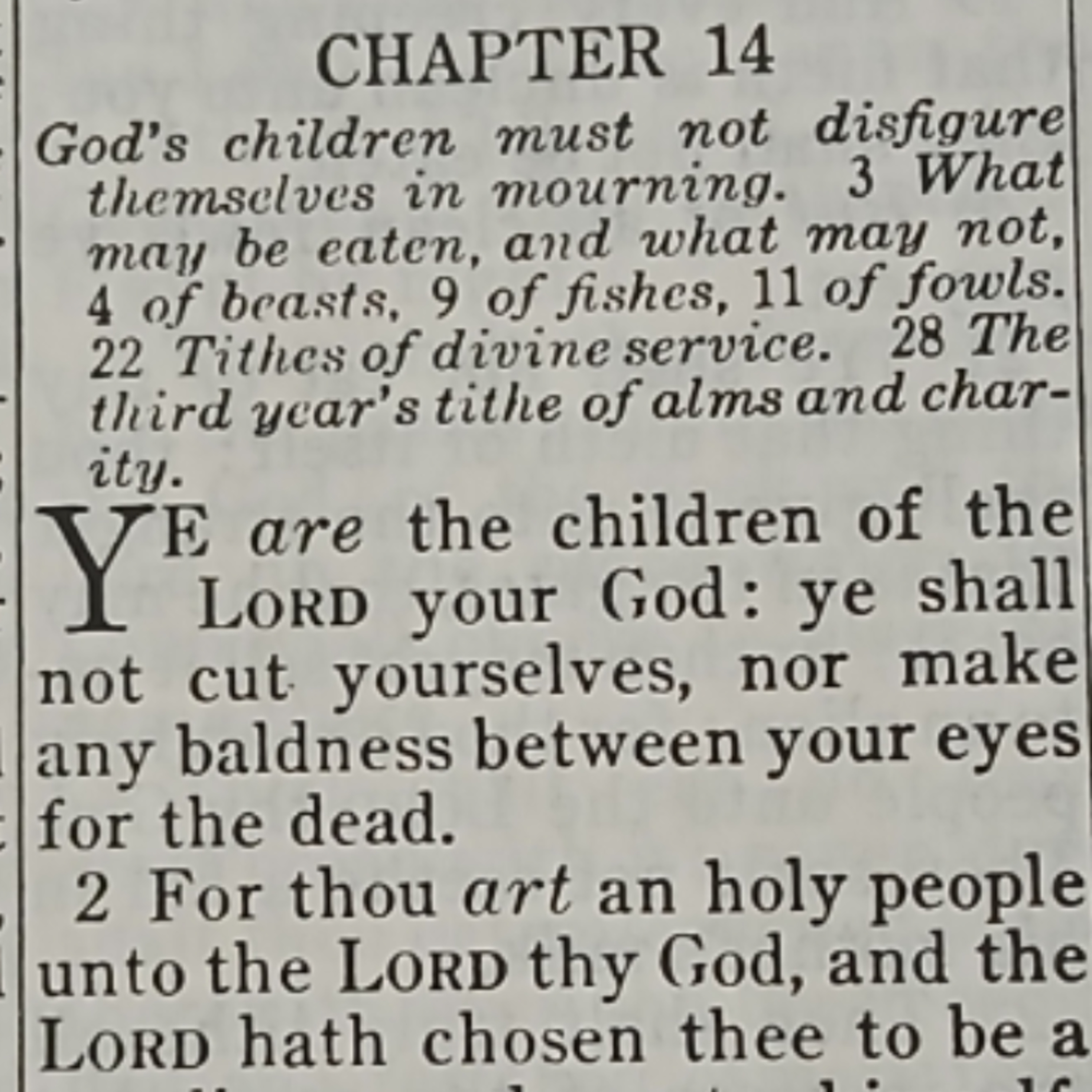 Deuteronomy chapter 14