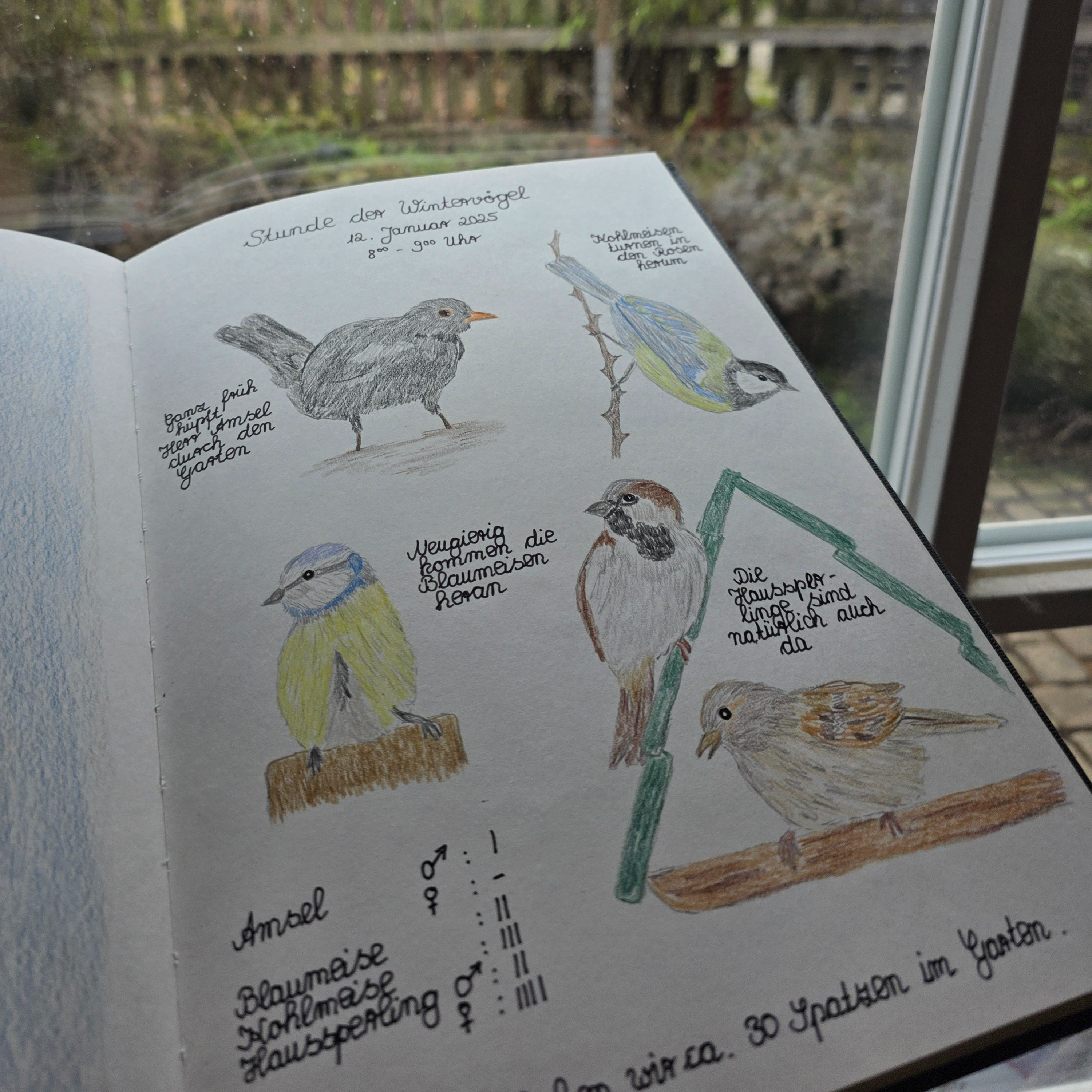 Nature Journaling: Die Rhön mit neuen Augen sehen episode artwork
