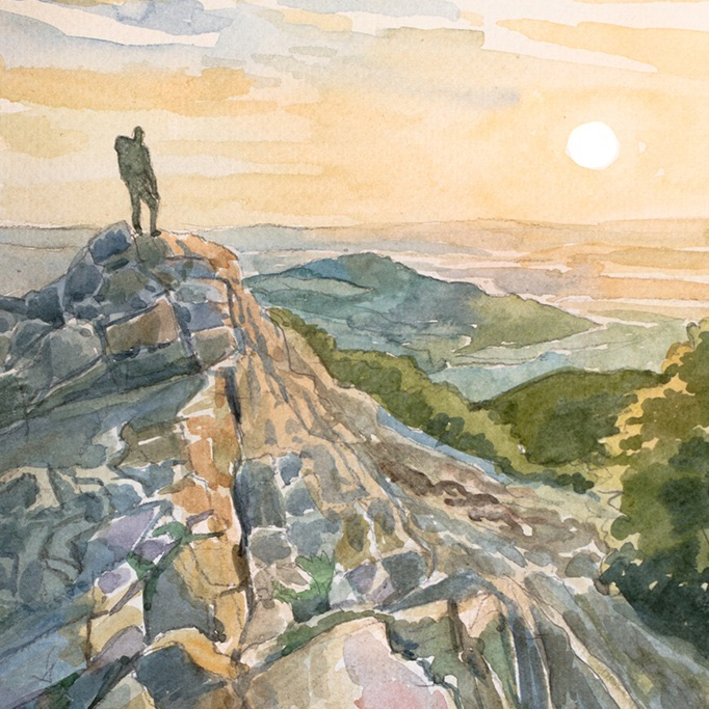 1 Jahr ausschließlich auf die Milseburg: Die Jahreschallenge von Lukas episode artwork