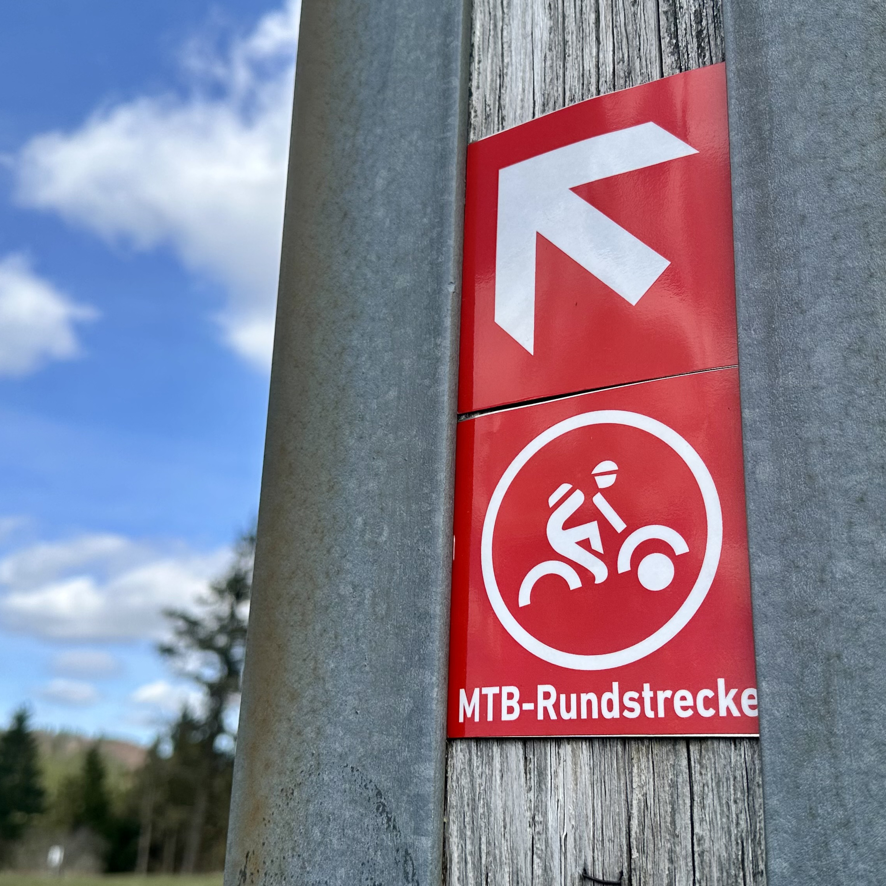 Kuppenbiken: Mountainbiken im Herzen der Rhön episode artwork