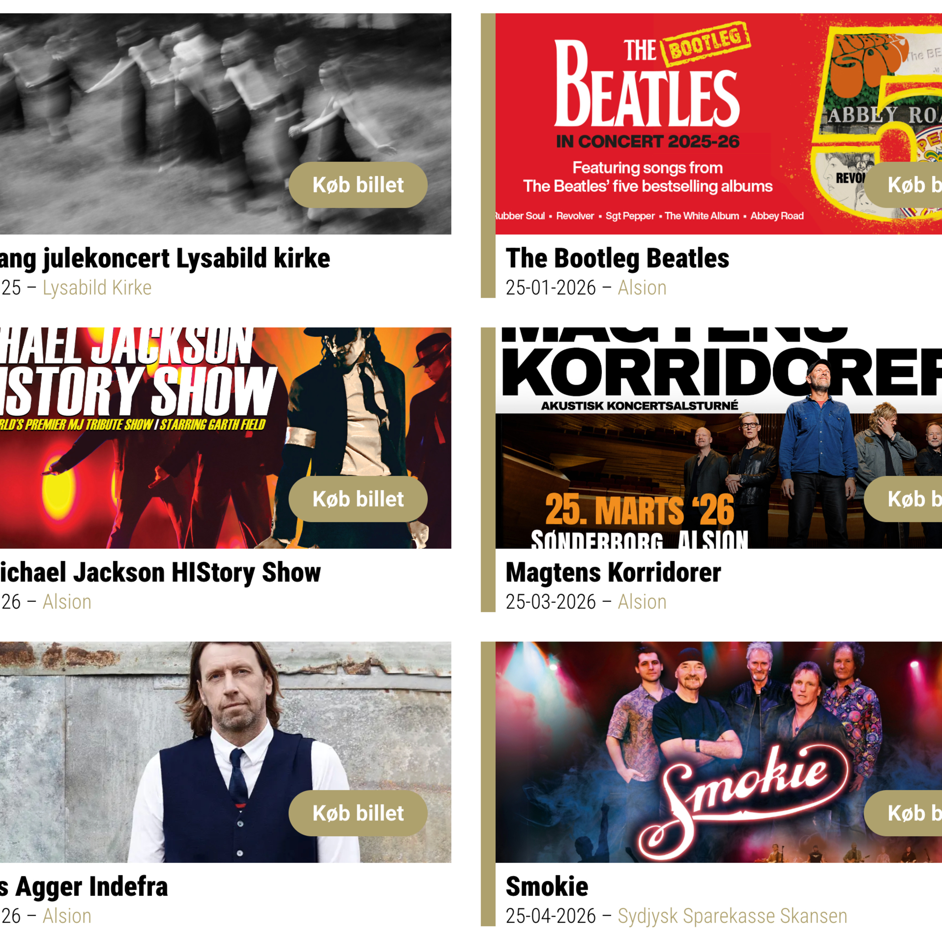 Kultur i Syd er mere end "Rock i Mølleparken" episode artwork