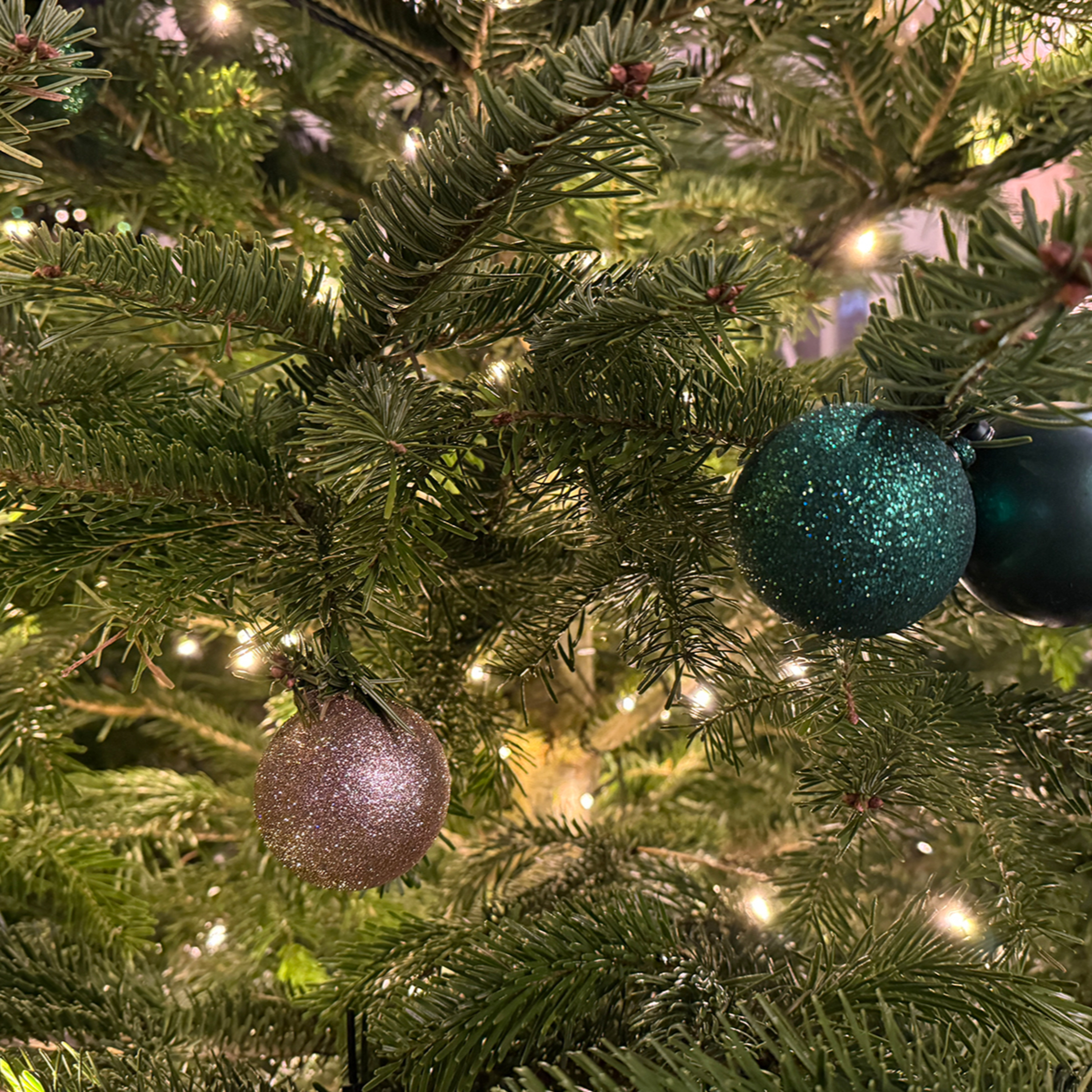 Skal kæledyrene også mærke det er jul? - Juleaftensdag på Radio Als. episode artwork