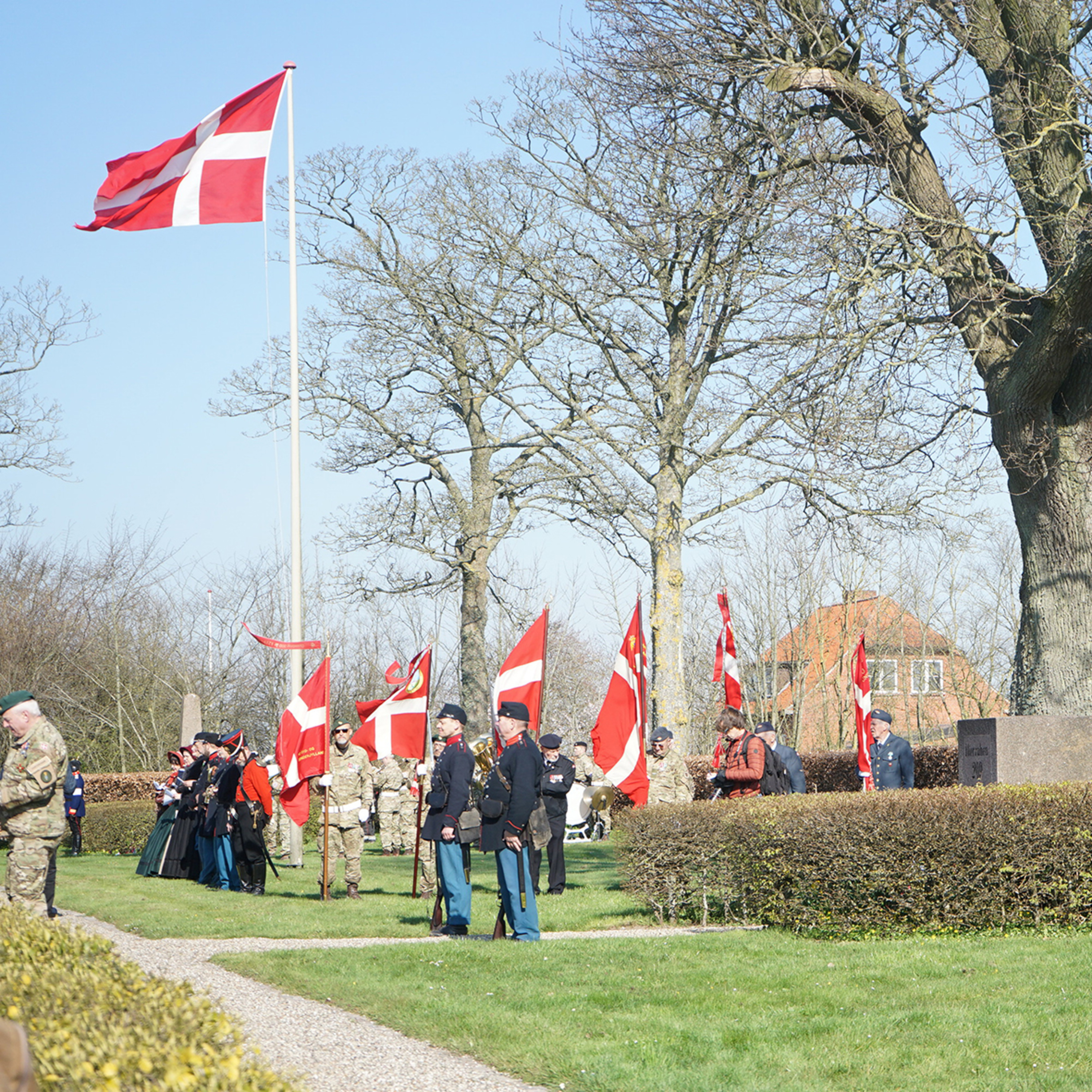 IHS danner ramme om Dybbøldags-markering episode artwork