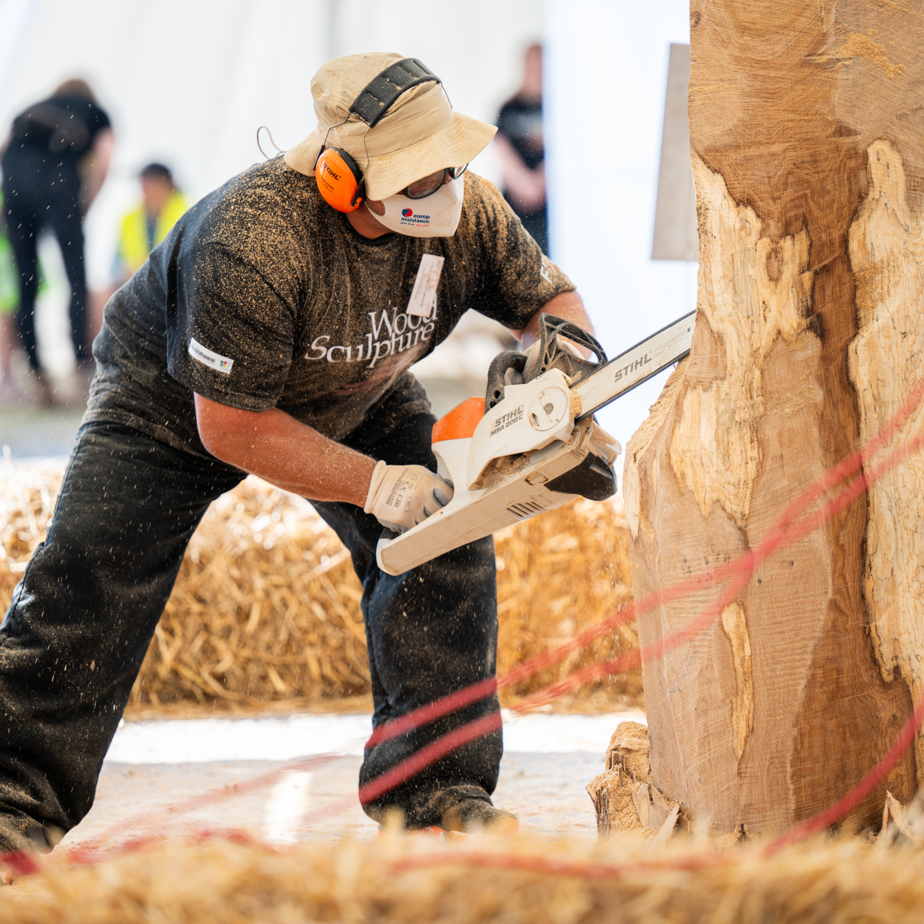 Woodsculpture søger værtsfamilier episode artwork