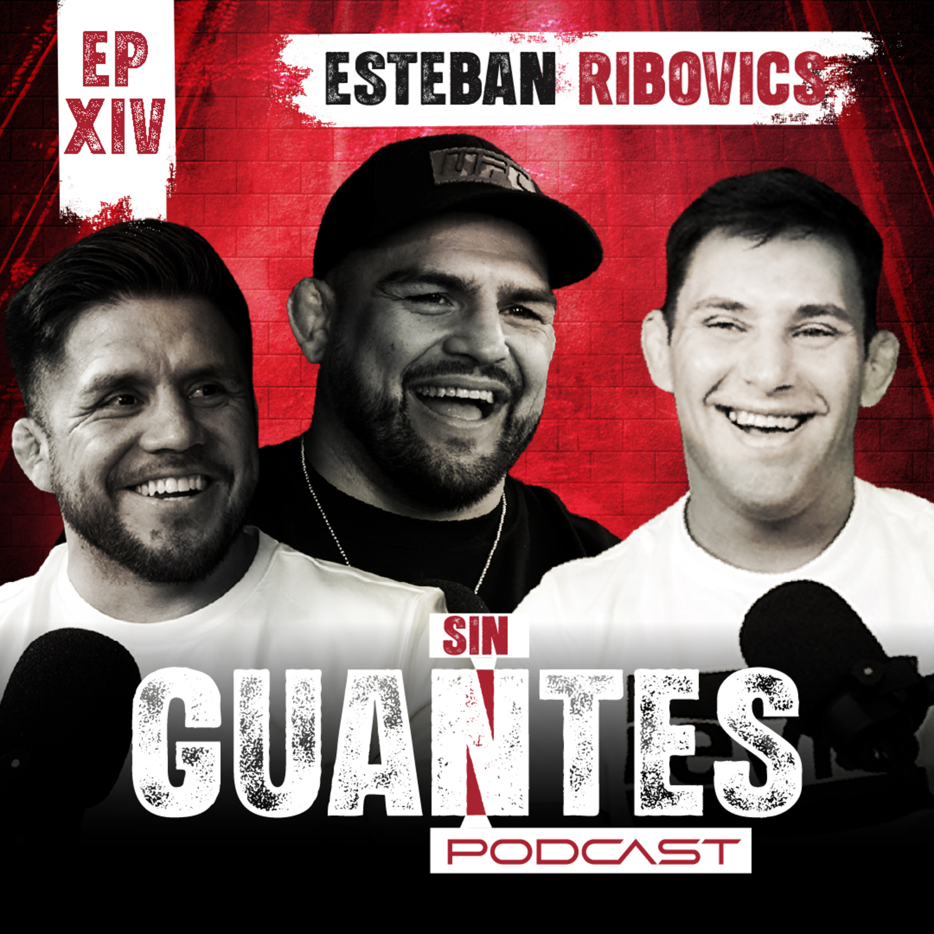 Sin Guantes